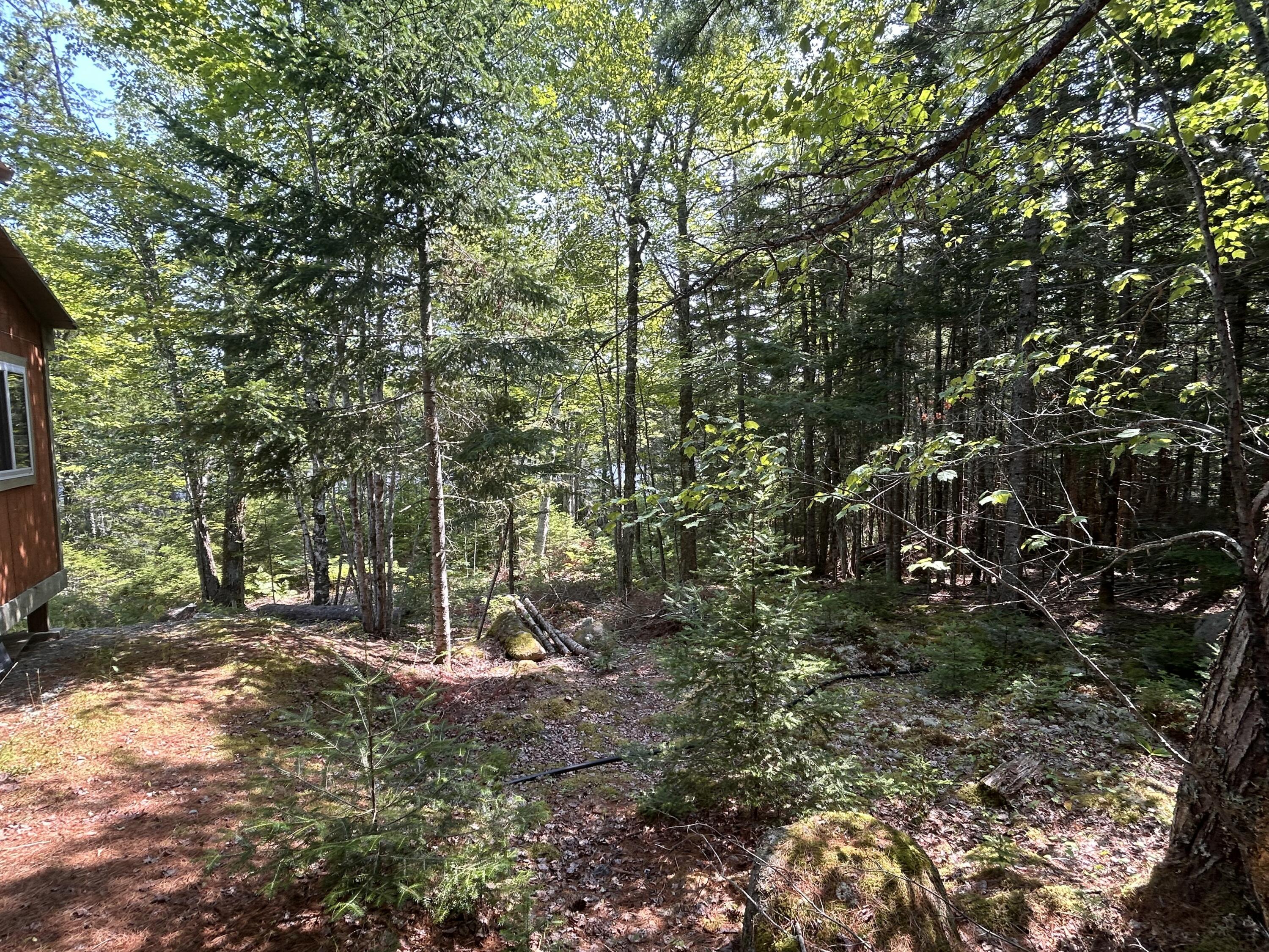 31 Sportsmen's Lodge Road, Marshfield, ME, 04654