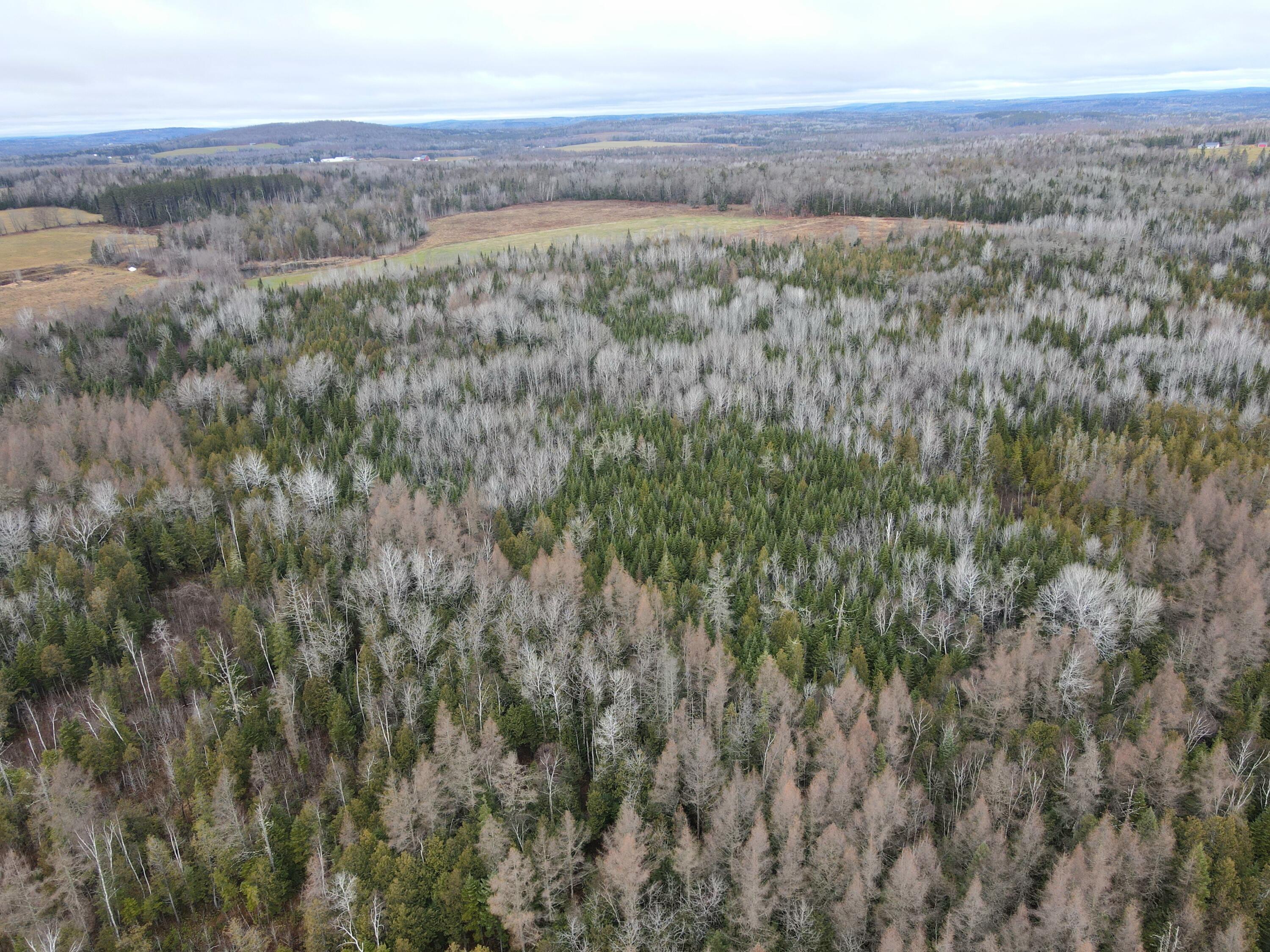 481 Plante Road, Caribou, ME, 04736