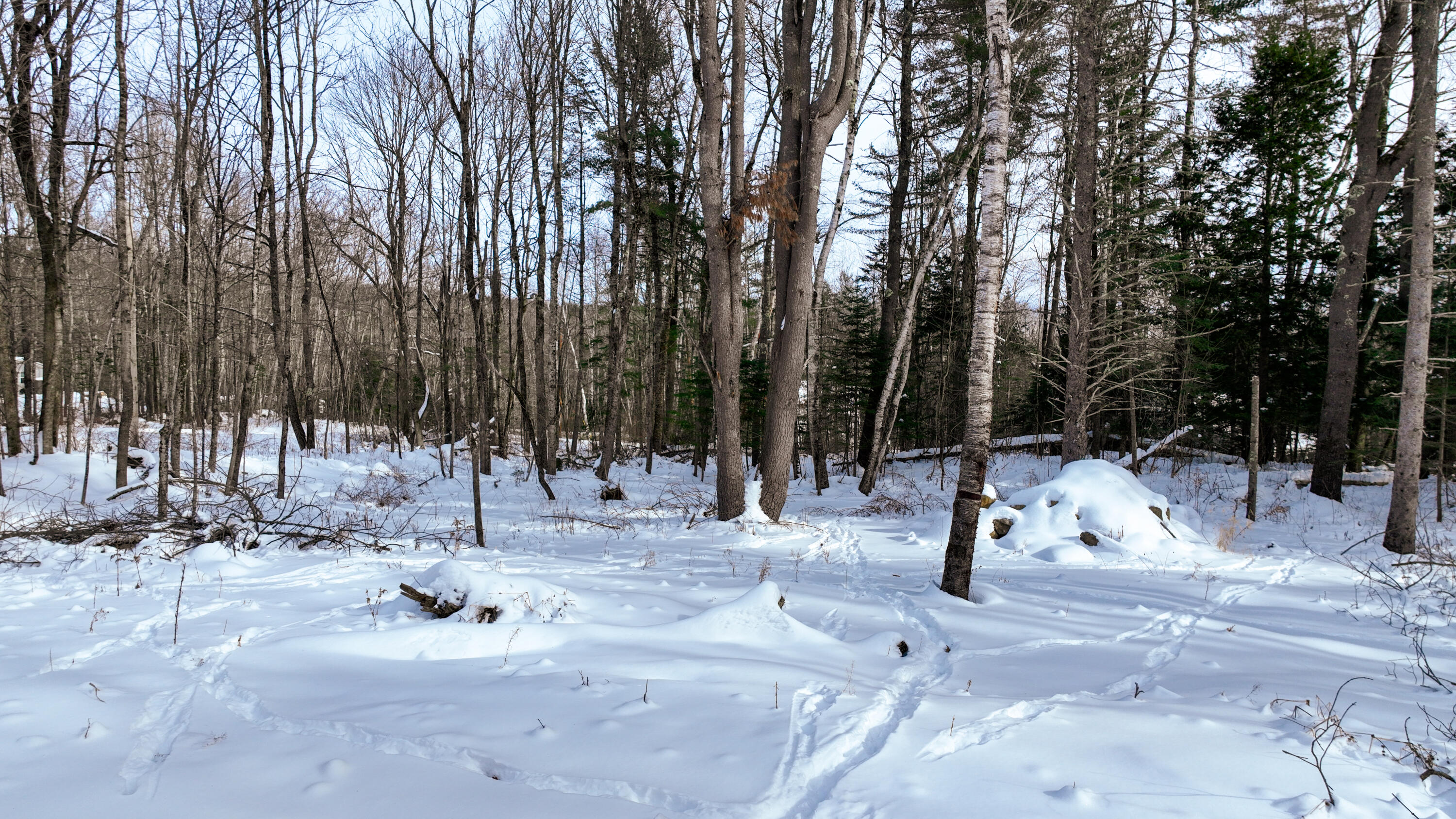 Lot 12 Prokey Drive, Limerick, ME, 04048