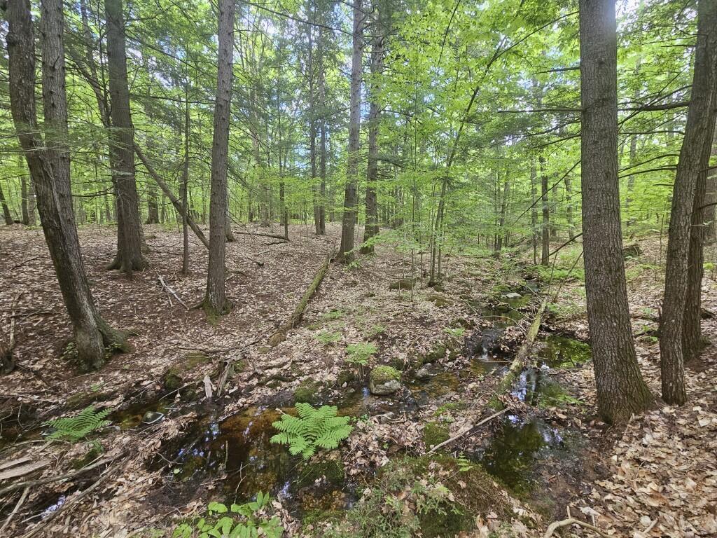 M10L44 Mountain View Road, Fryeburg, ME, 04037