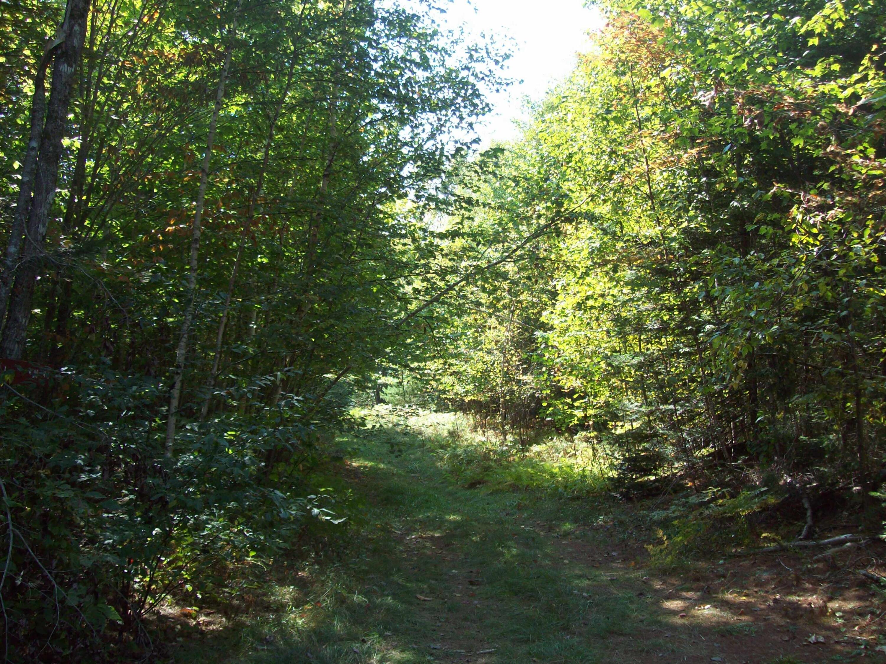 200 Hale Farm Road, Lee, ME, 04455