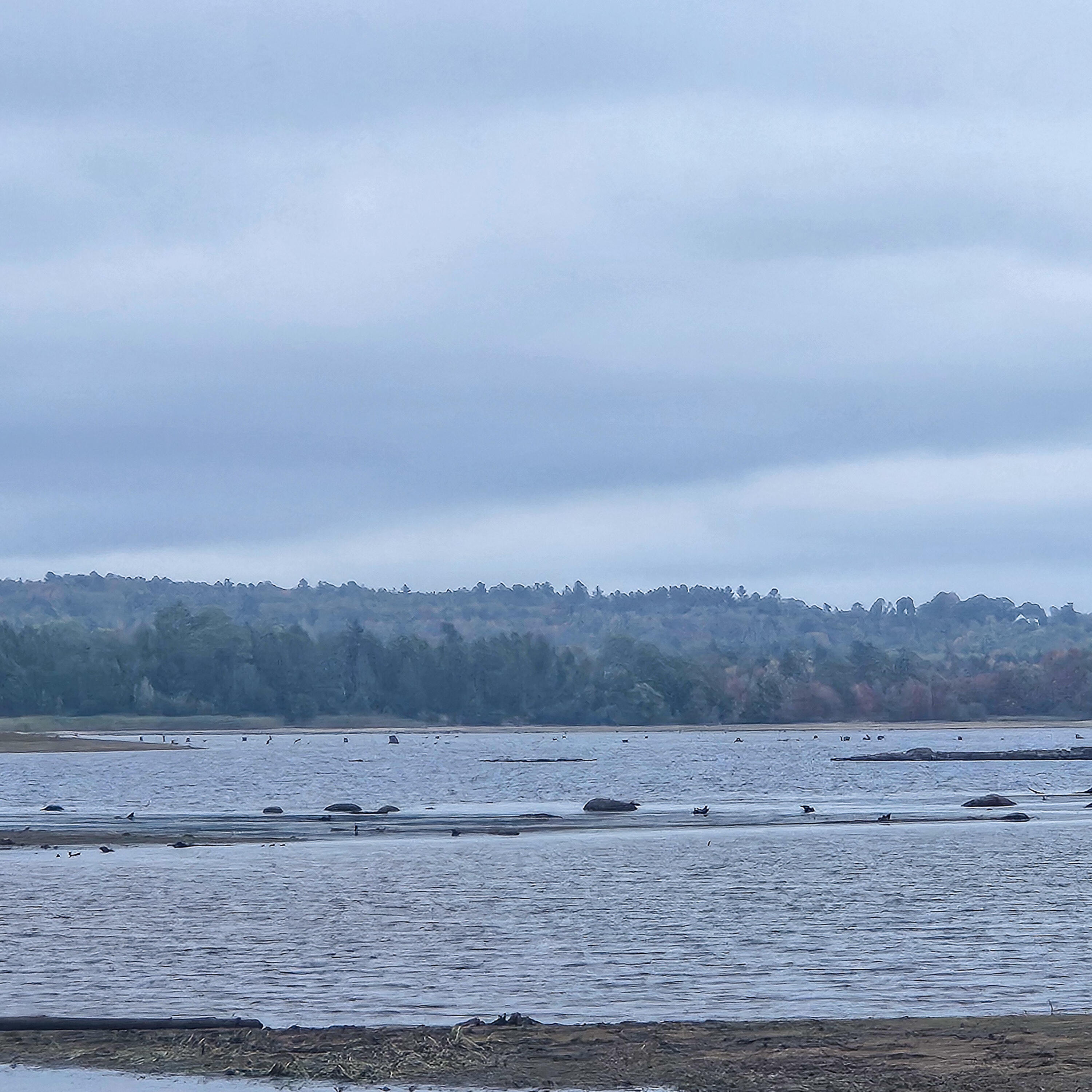 206 Morrison Farm Road, Mariaville, ME, 04605