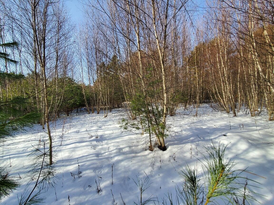 999 Main Road, Eddington, ME, 04428