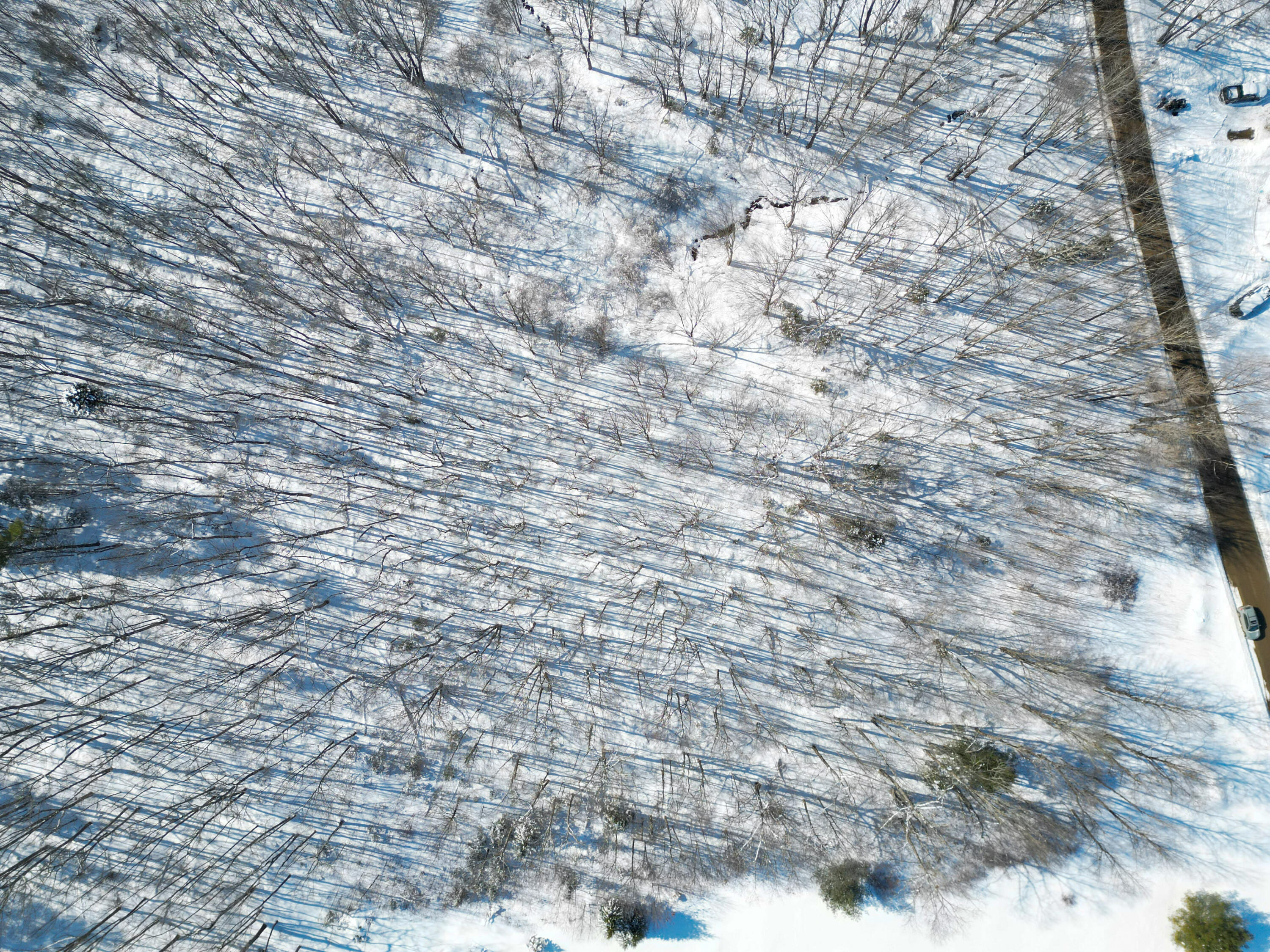 P/O 205 Ralph Wink Road, Waldoboro, ME, 04572