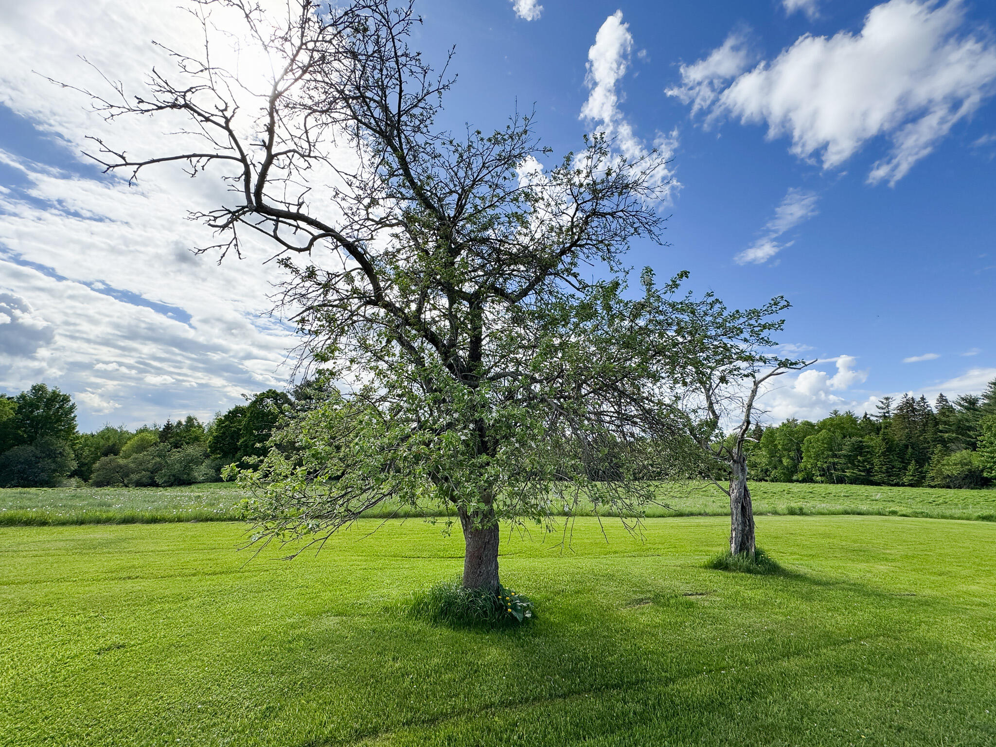 164 Mud Pond Road, Prentiss Twp T7 R3 Nbpp, ME, 04487