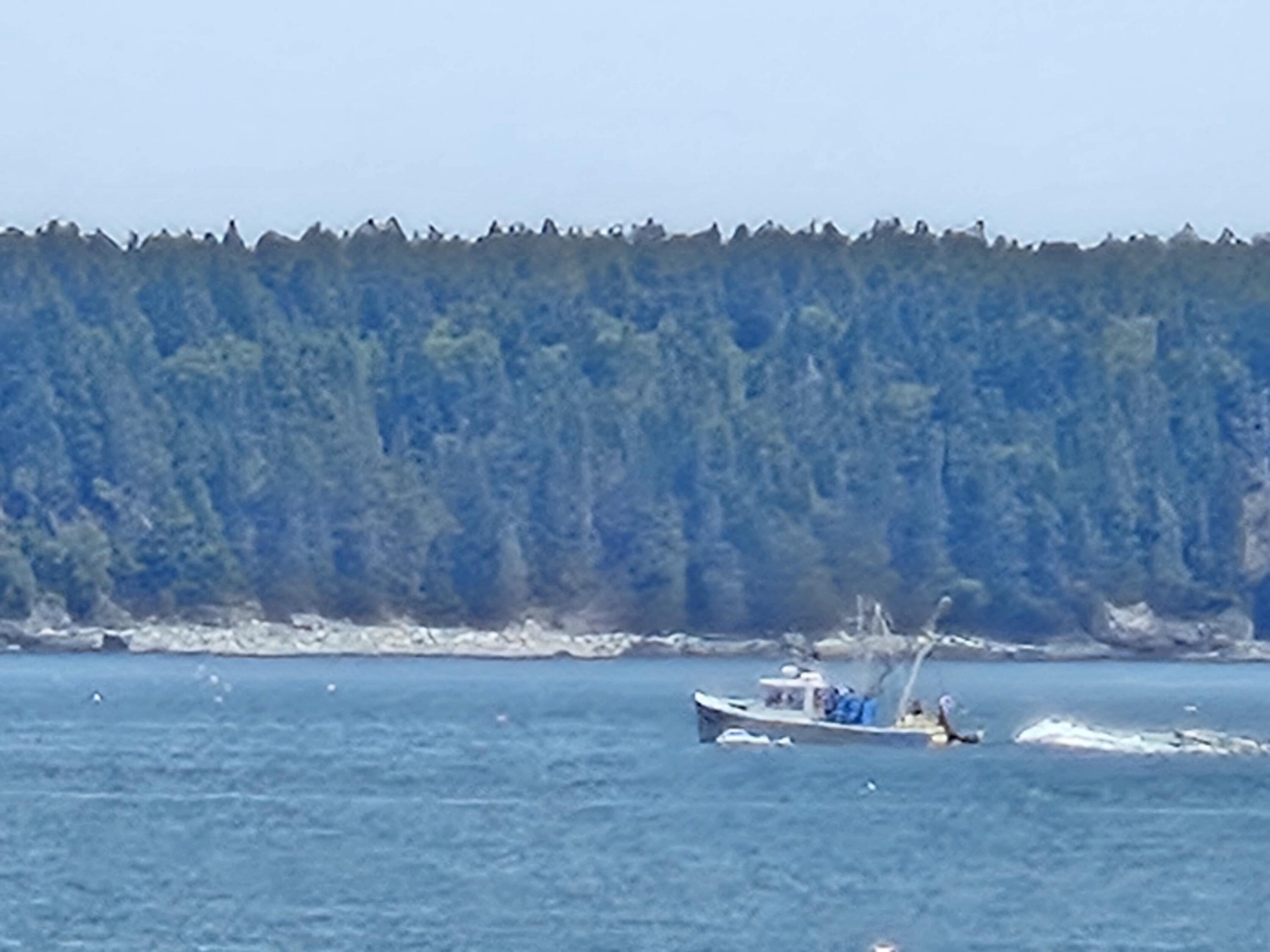 541 Mason Bay Road, Jonesport, ME, 04649