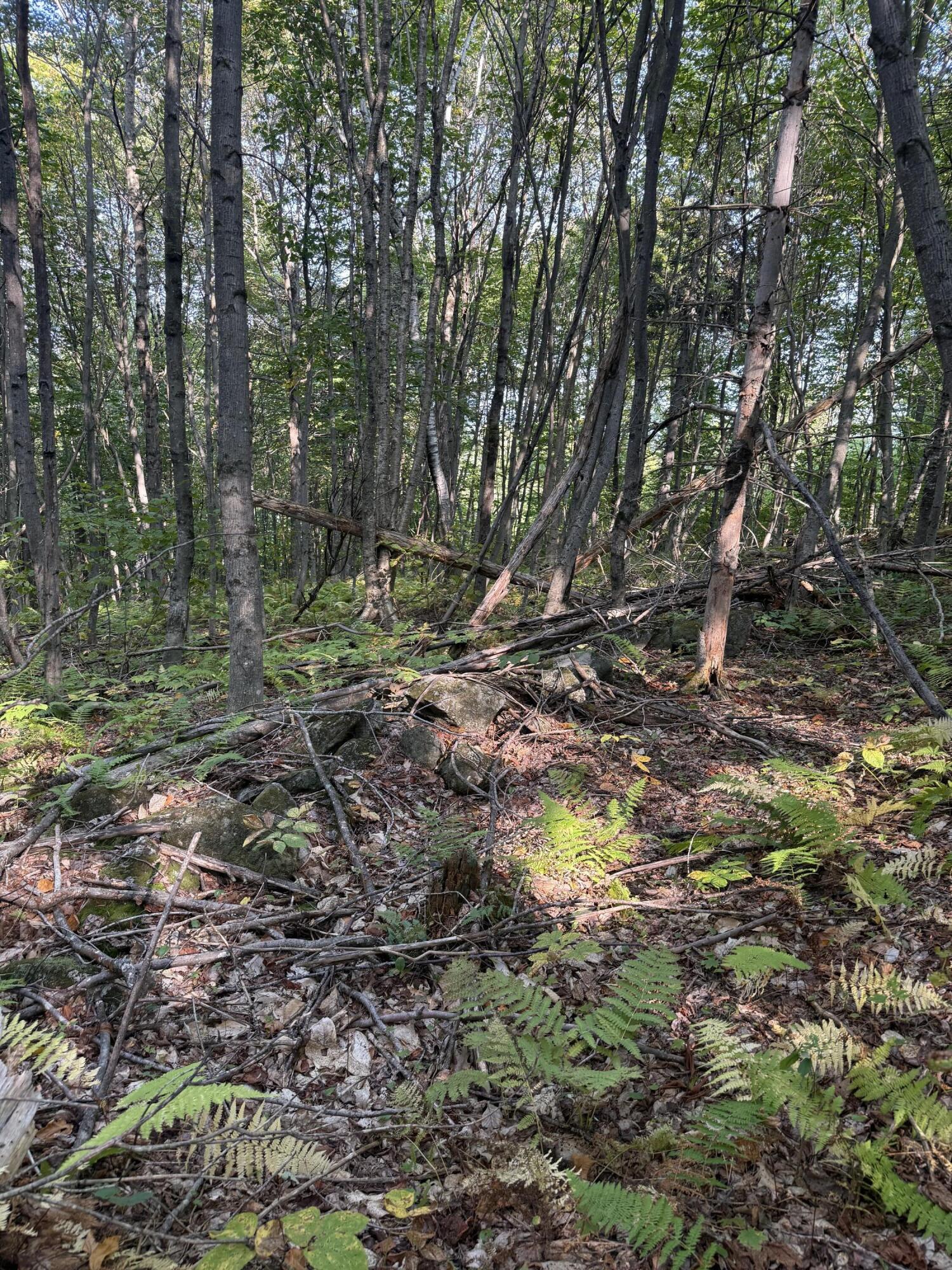 LotUNIT&nbsp;55 Arlines Way, Woodstock, ME, 04219