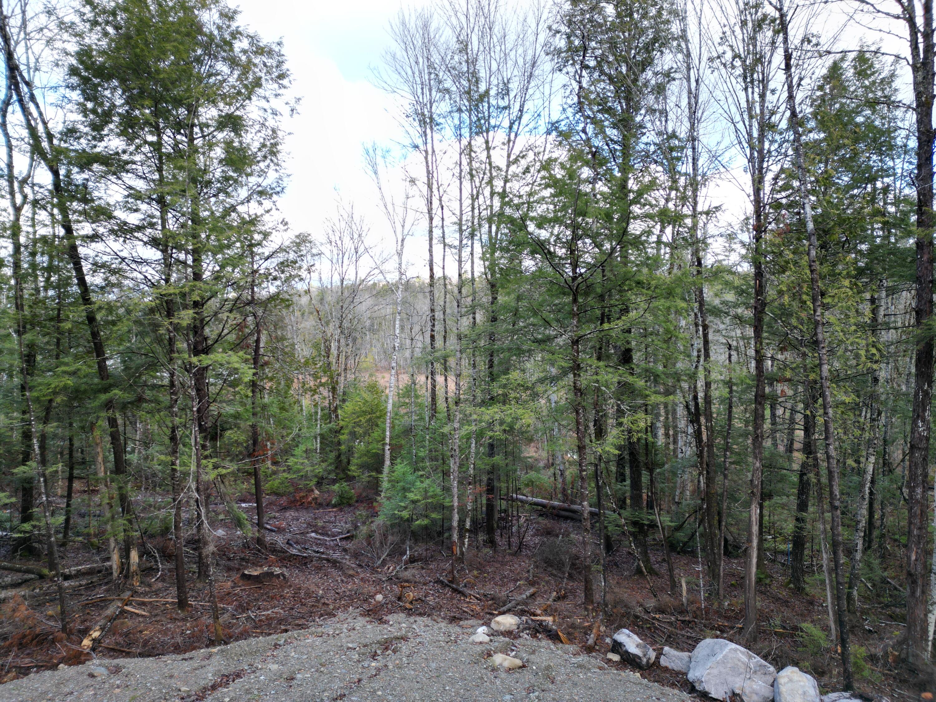 10 Falcon Ridge, Lincoln, ME, 04457