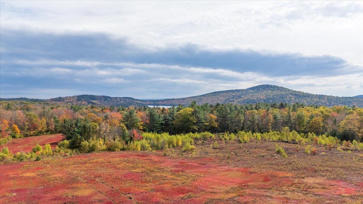 423 Beech Hill Road, Northport, ME, 04849