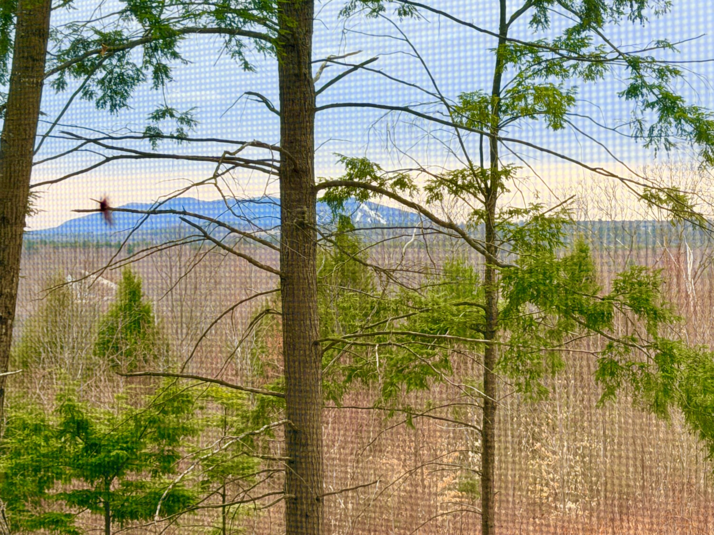 190 Deer Hill Road, Harrison, ME, 04040