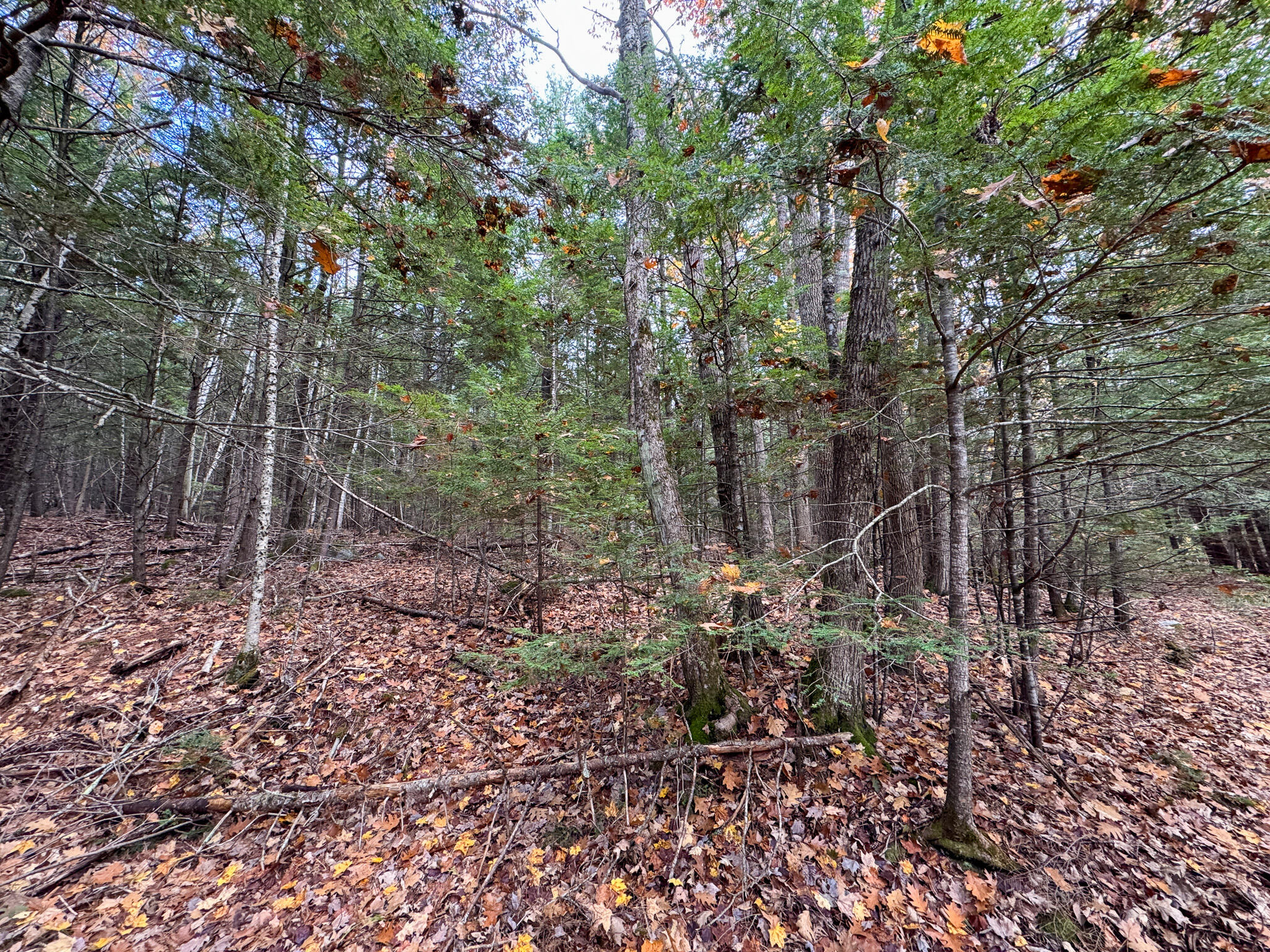 Lot 2 Darci Lane, Montville, ME, 04941