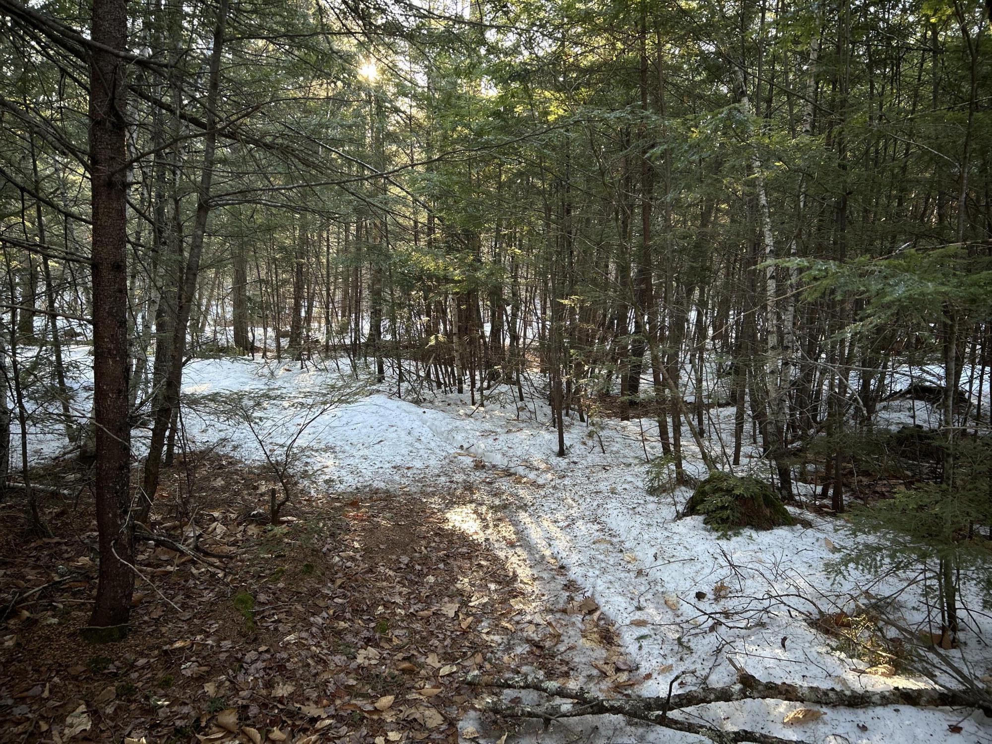 Map13Lot11 Field View Road, Fryeburg, ME, 04037