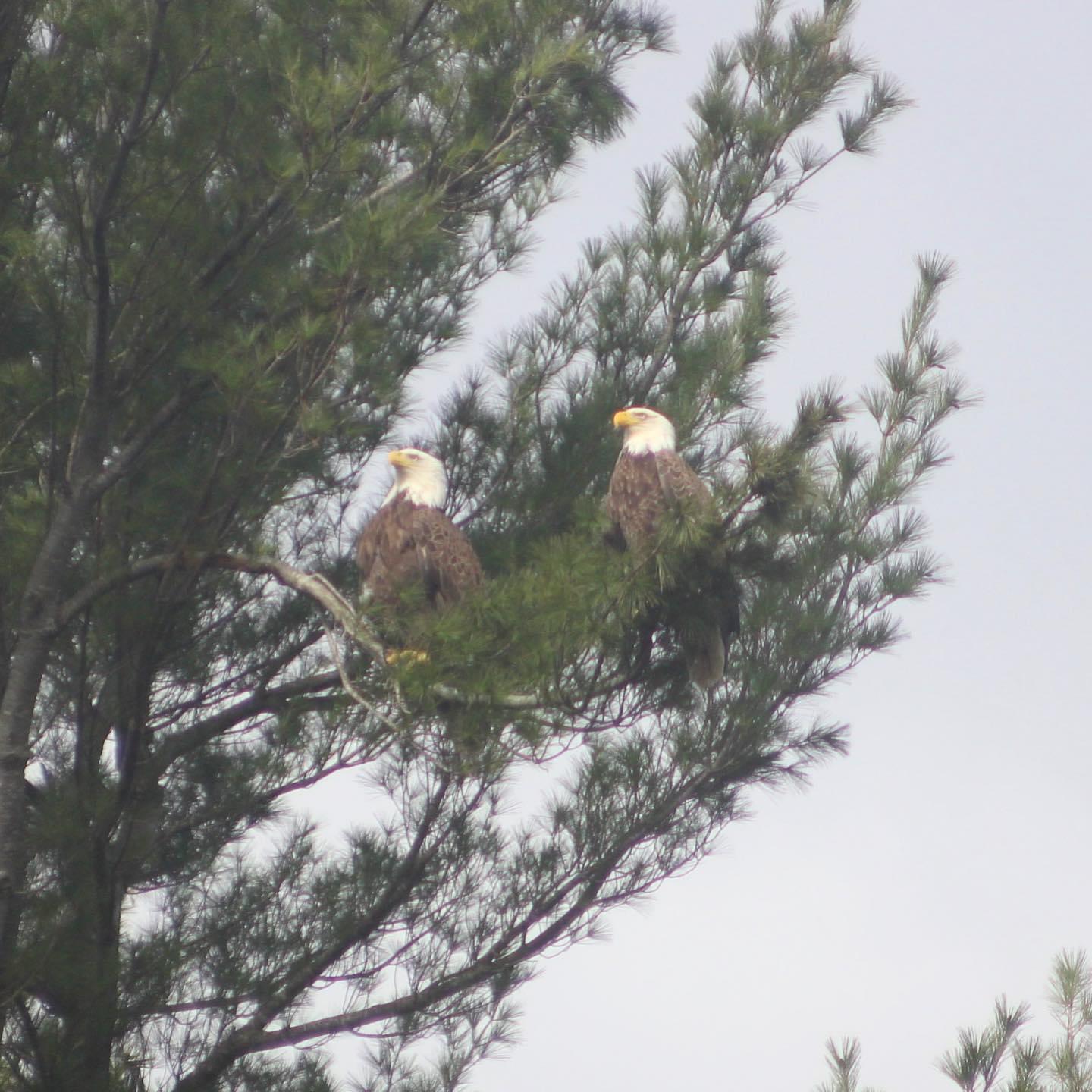 38 Main Street, Topsham, ME, 04086