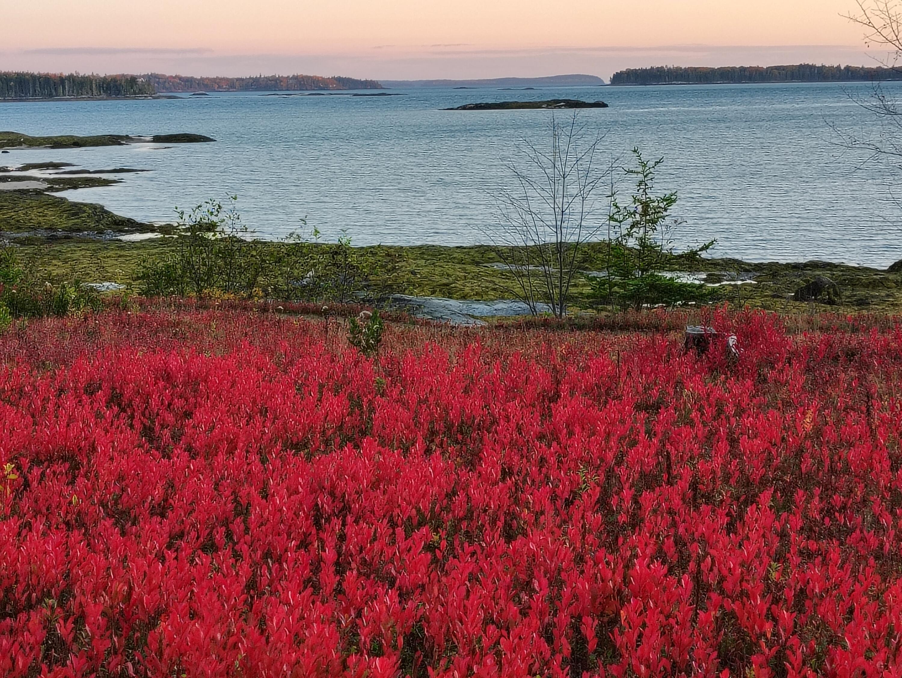 103 Gull Rock Road, Hancock, ME, 04640