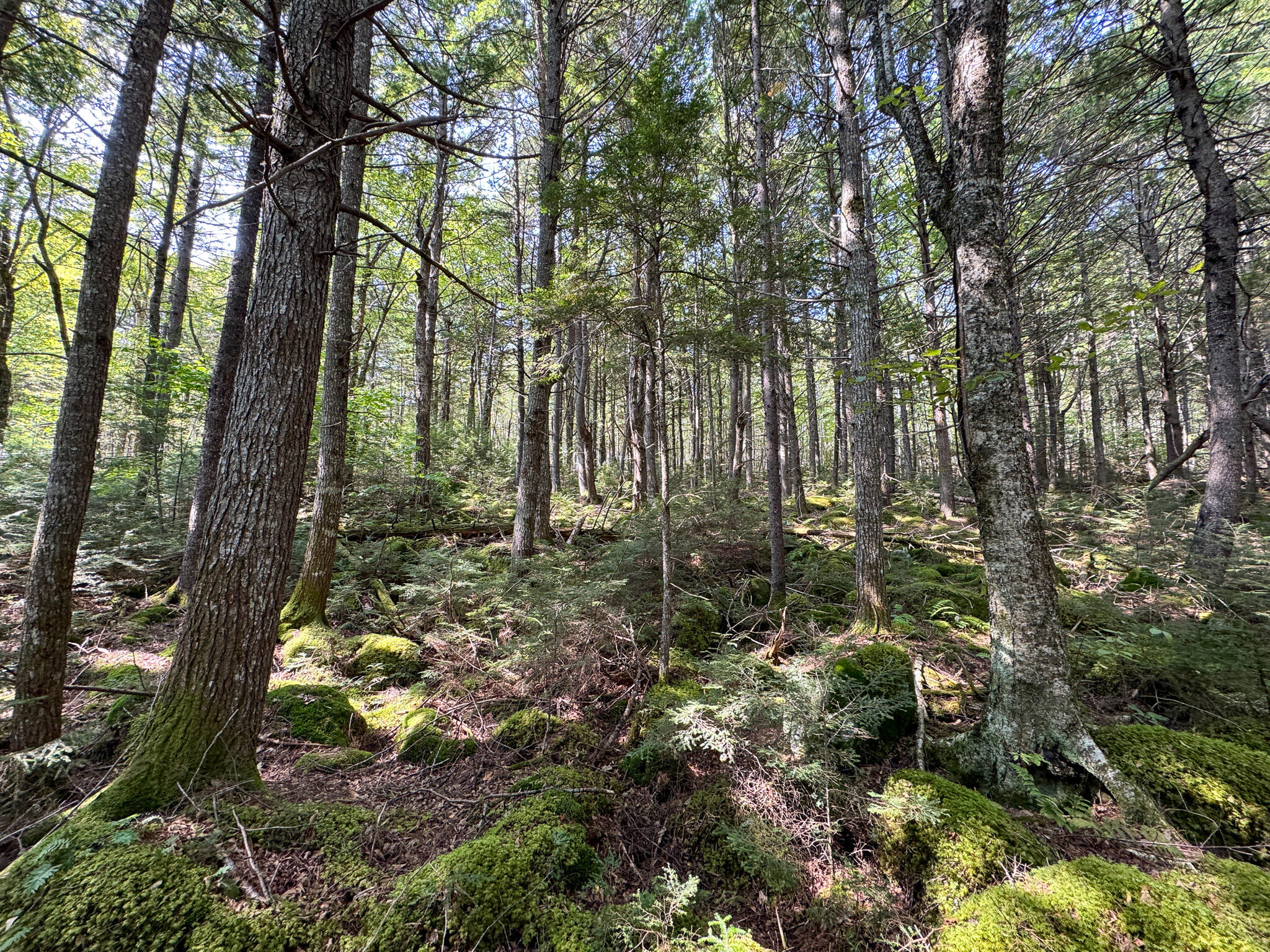 P/O M29L23 Bluff Road, Enfield, ME, 04493