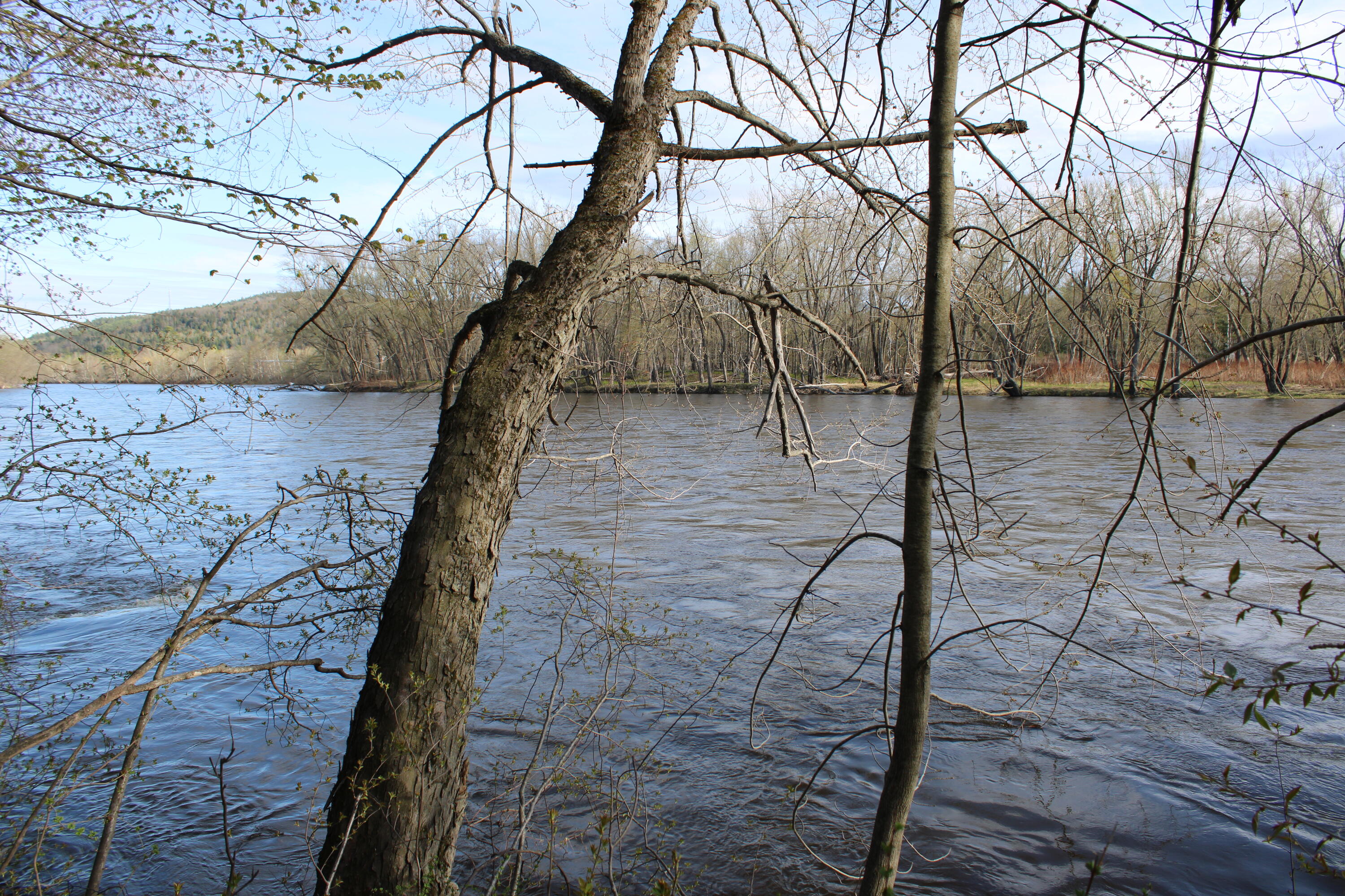 856 River Road, Mexico, ME, 04257