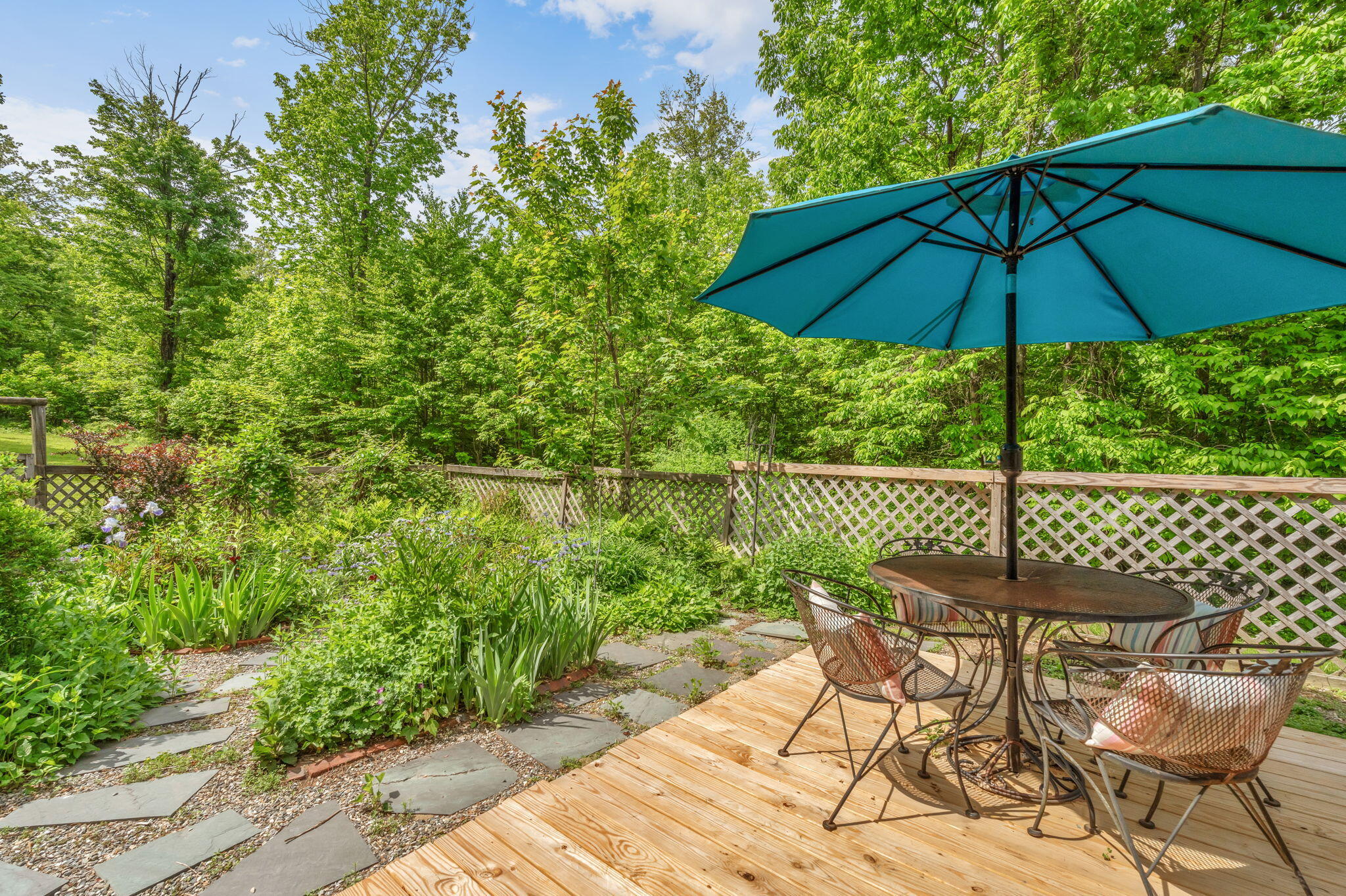27-web-or-mls-15-raspberry-rd