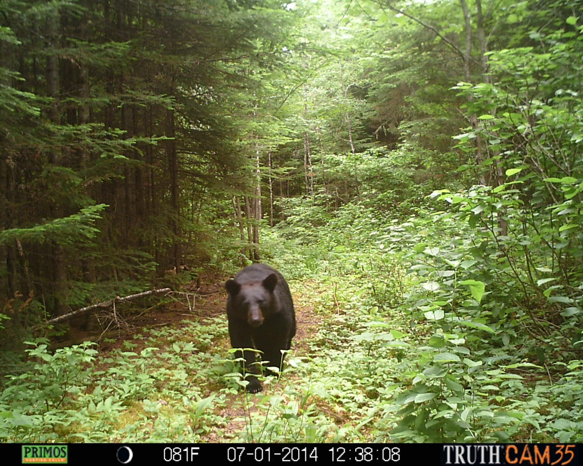 Lot UNIT&nbsp;3 Pleine Road, Saint Agatha, ME, 04772