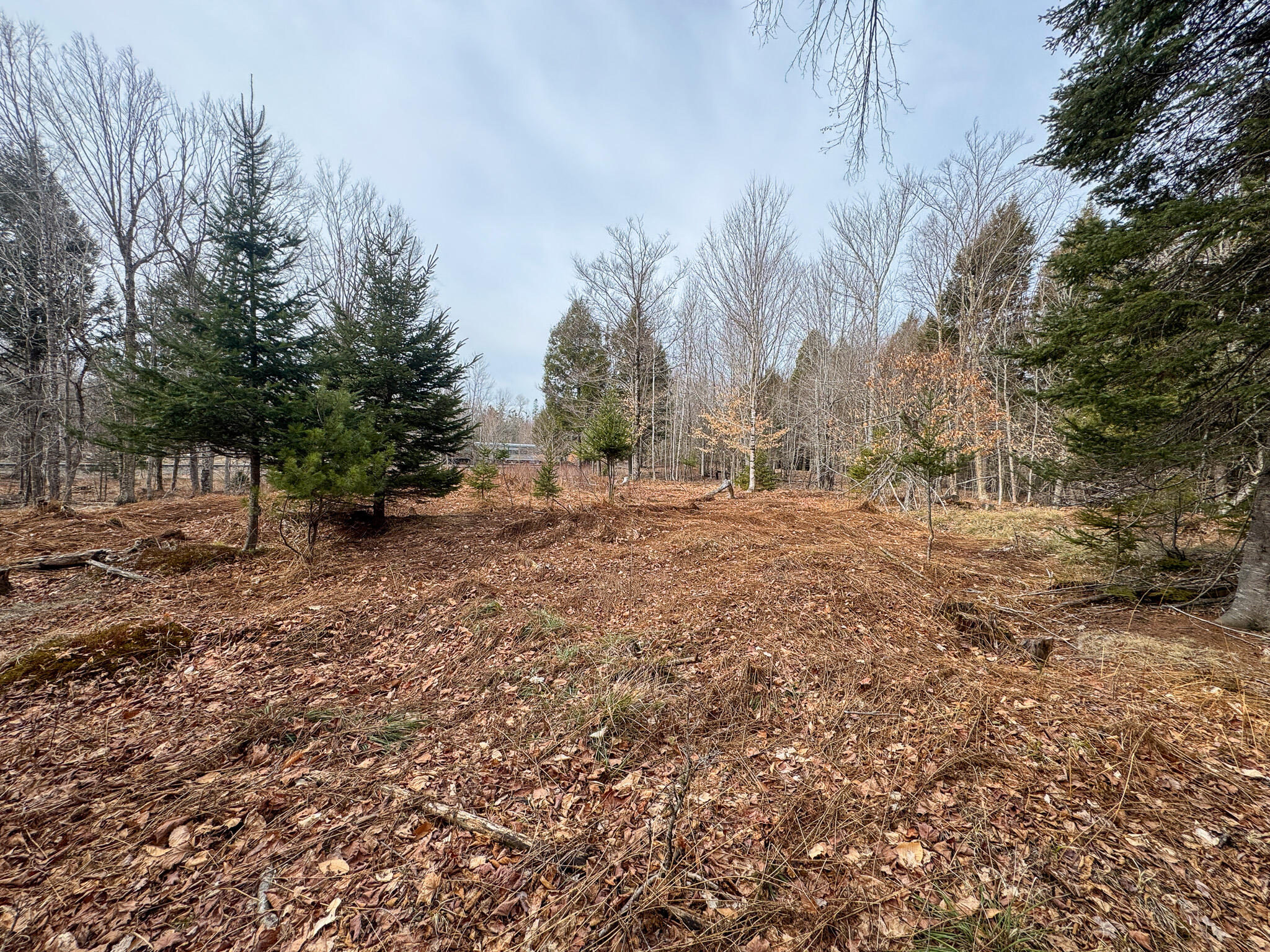 M11L10 Off Gordon Hill Road, Thorndike, ME, 04986