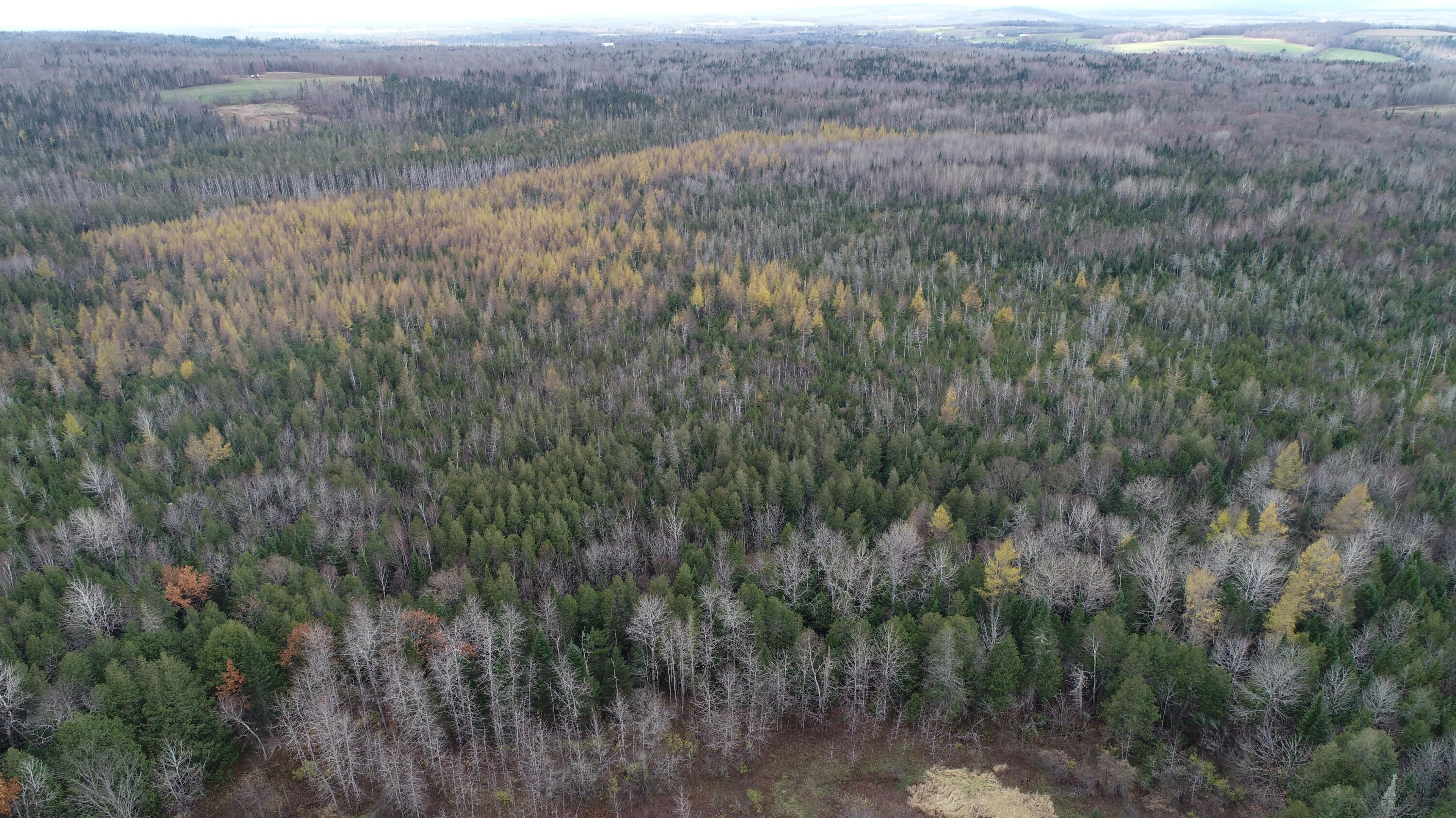 Lot 18 US RT 2 Highway, Sherman, ME, 04776