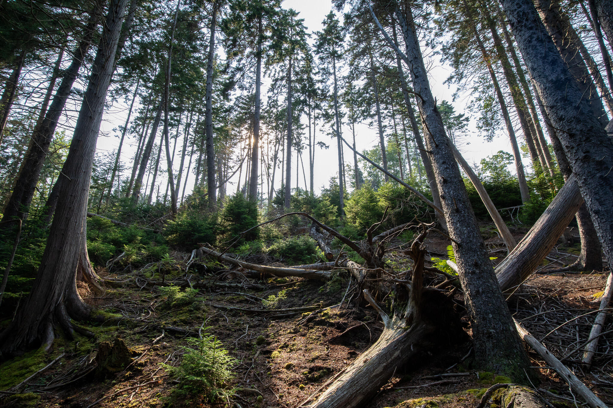 0 Bayview Road UNIT 2, Harpswell, ME, 04066