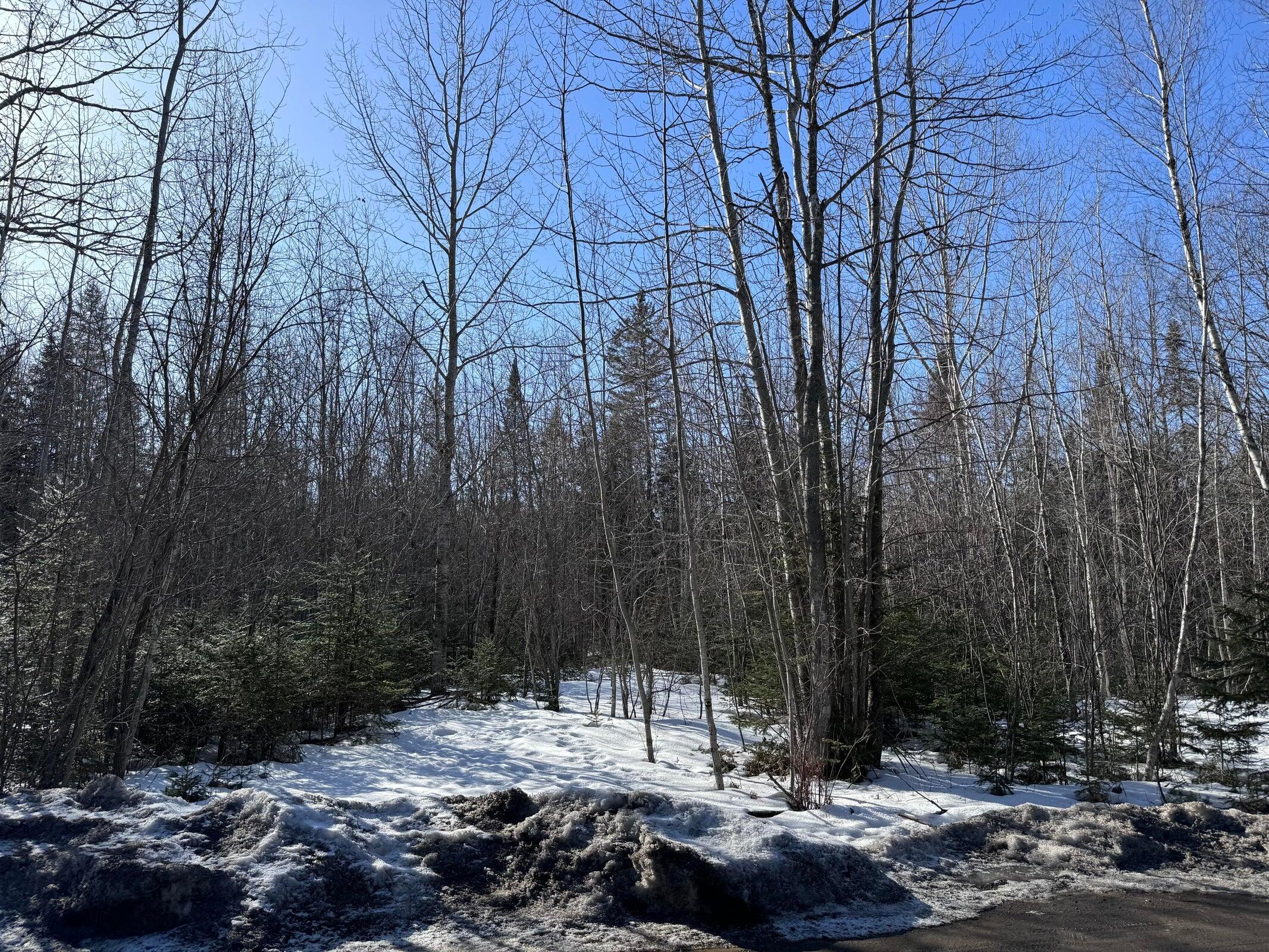 Lot 13 Tripp Drive, Bangor, ME, 04401