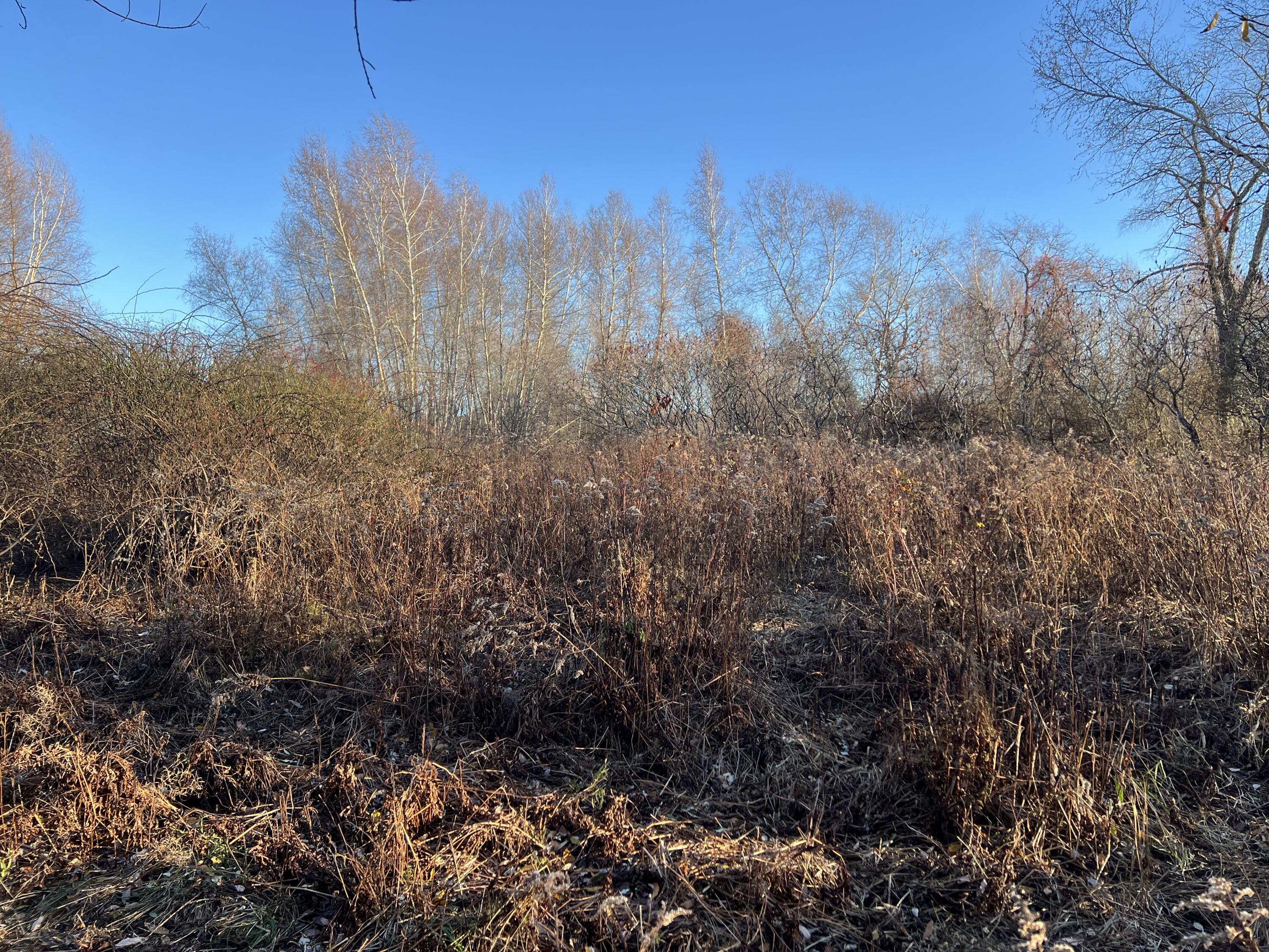 Lot UNIT&nbsp;B Winding Way, Rockport, ME, 04856