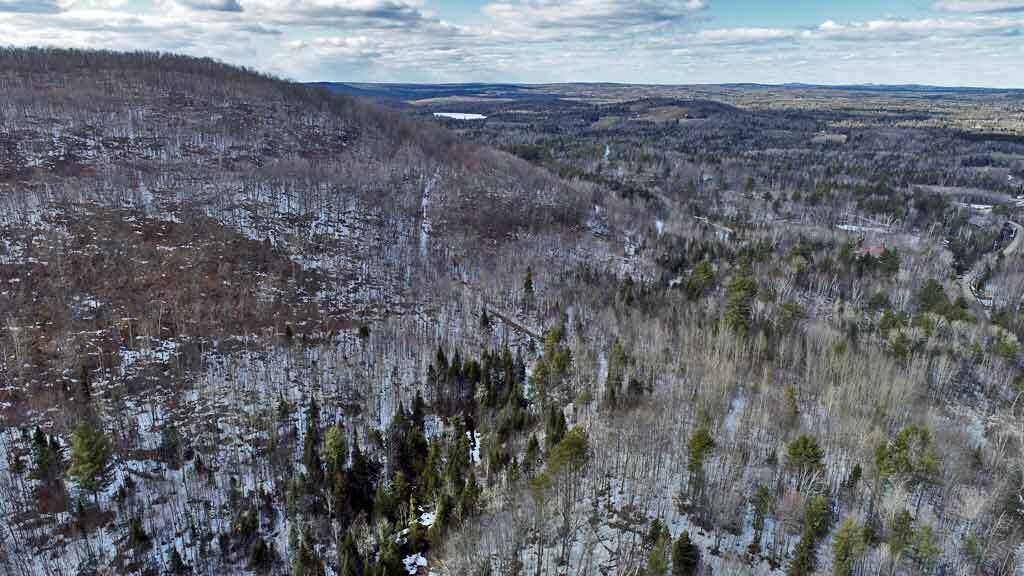 Lot 11 Drews Mill Road, Linneus, ME, 04730