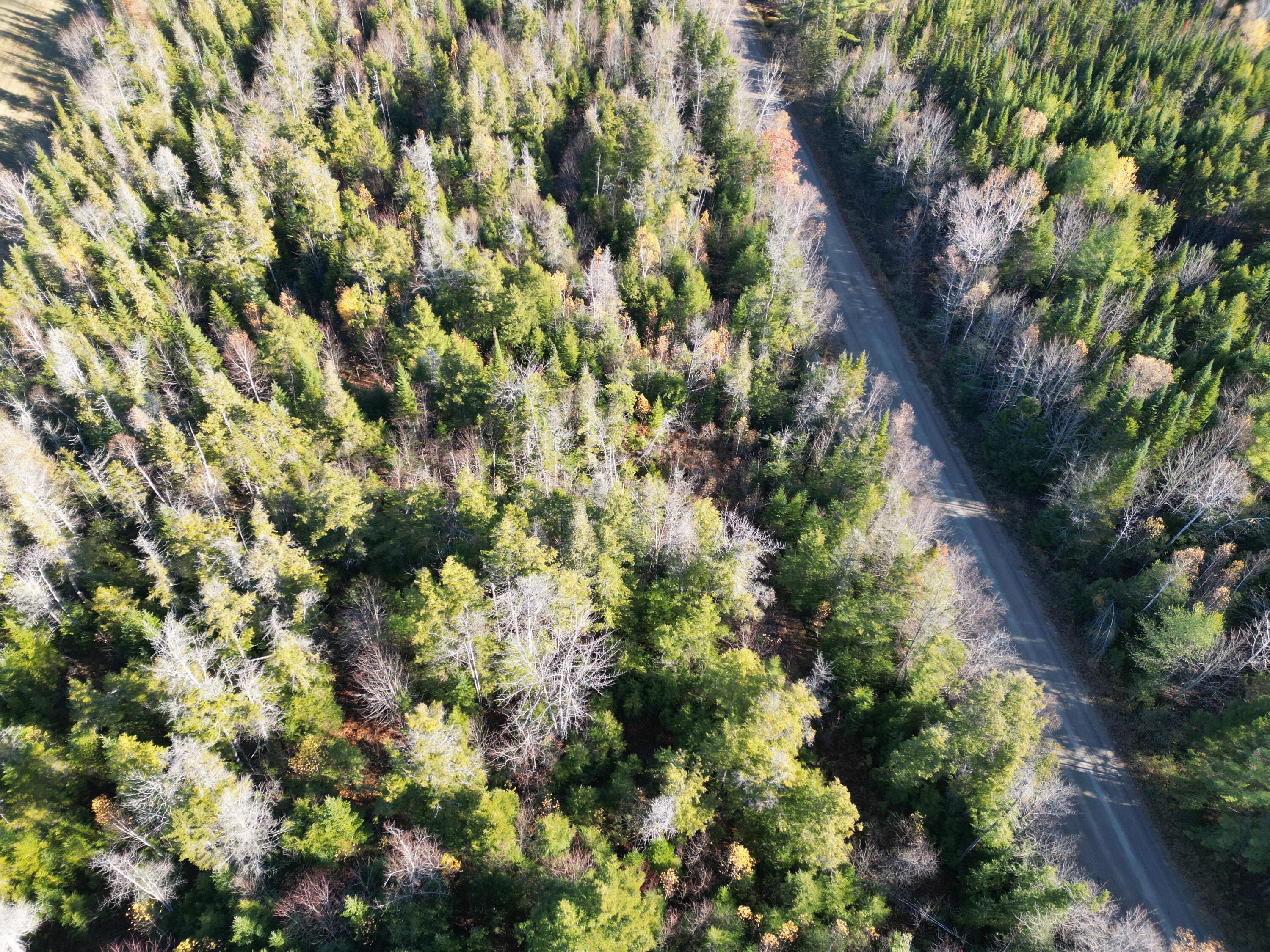 Lot 18-1 Mattamiscontis Road, Howland, ME, 04448