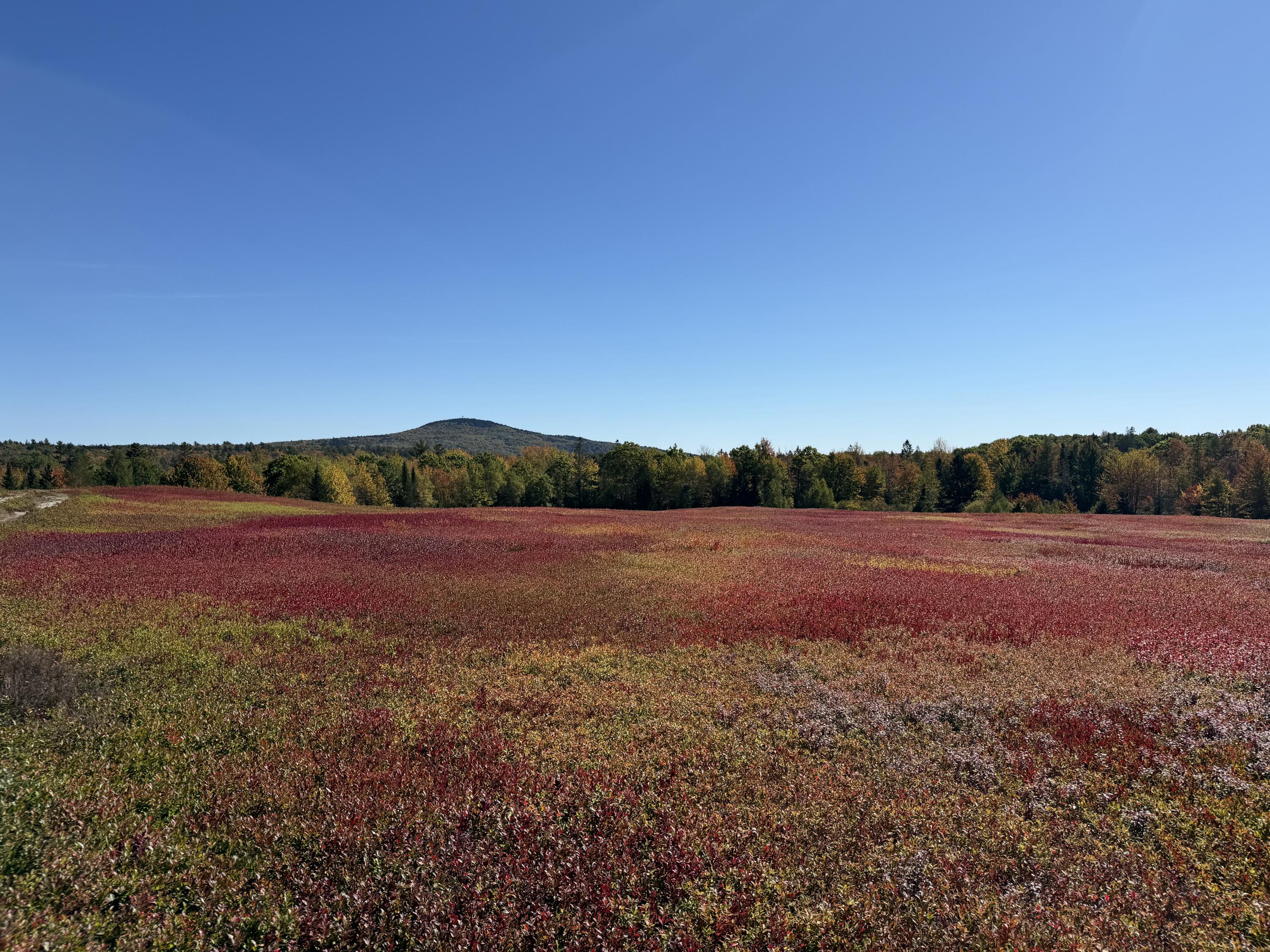 Photo of MAP31LOT29 Land-Perkins Blue Hill ME 04614
