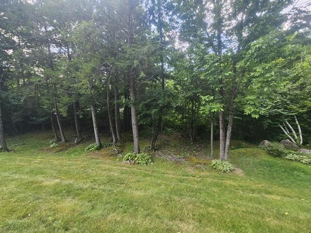 35.8 Wooded area on the left side
