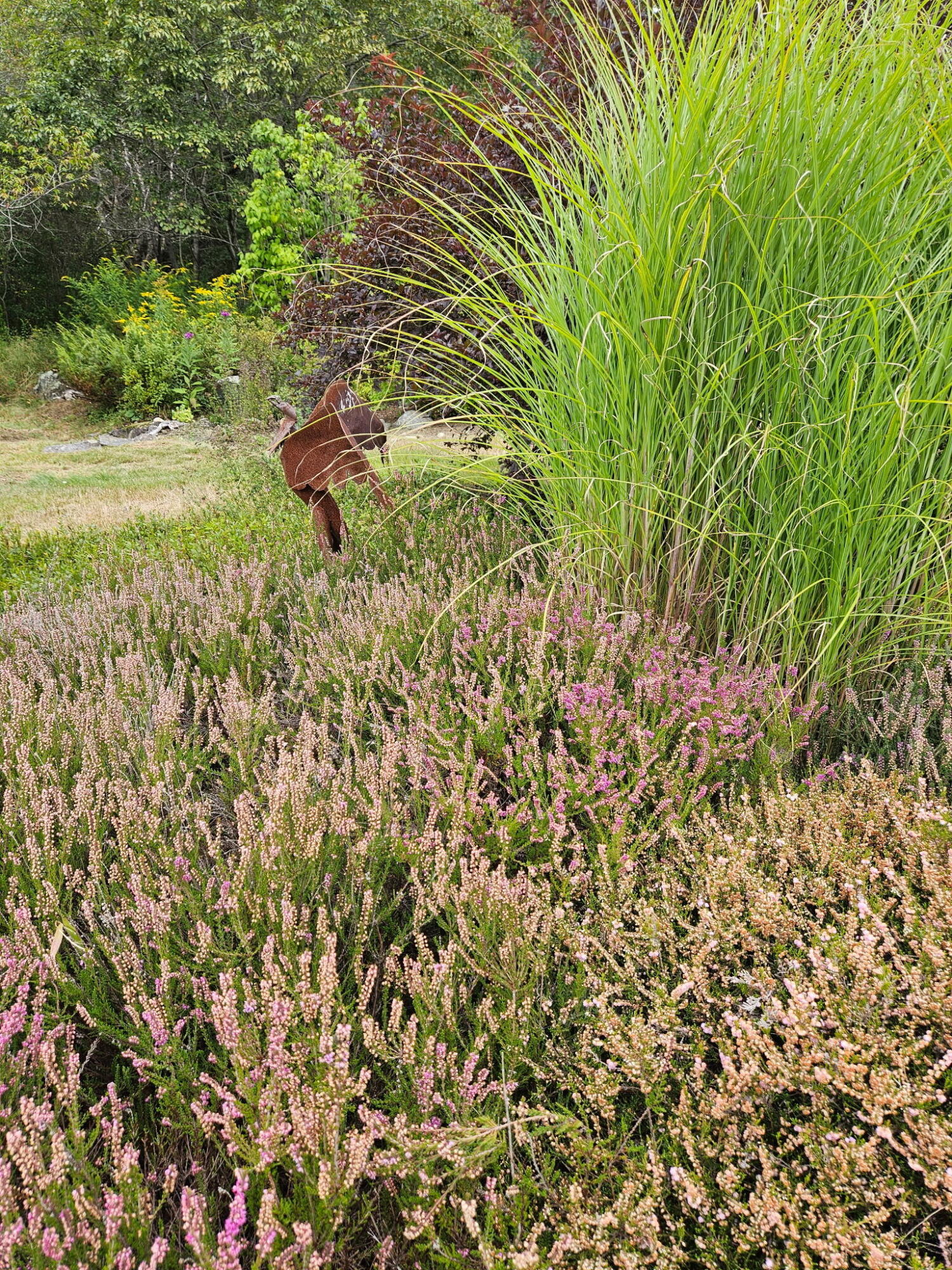 63 Raccoon, Cushing, ME, 04563