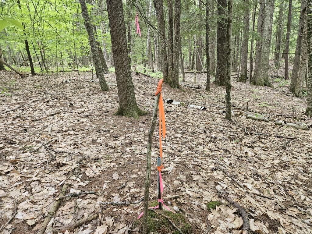 M10L44 Mountain View Road, Fryeburg, ME, 04037