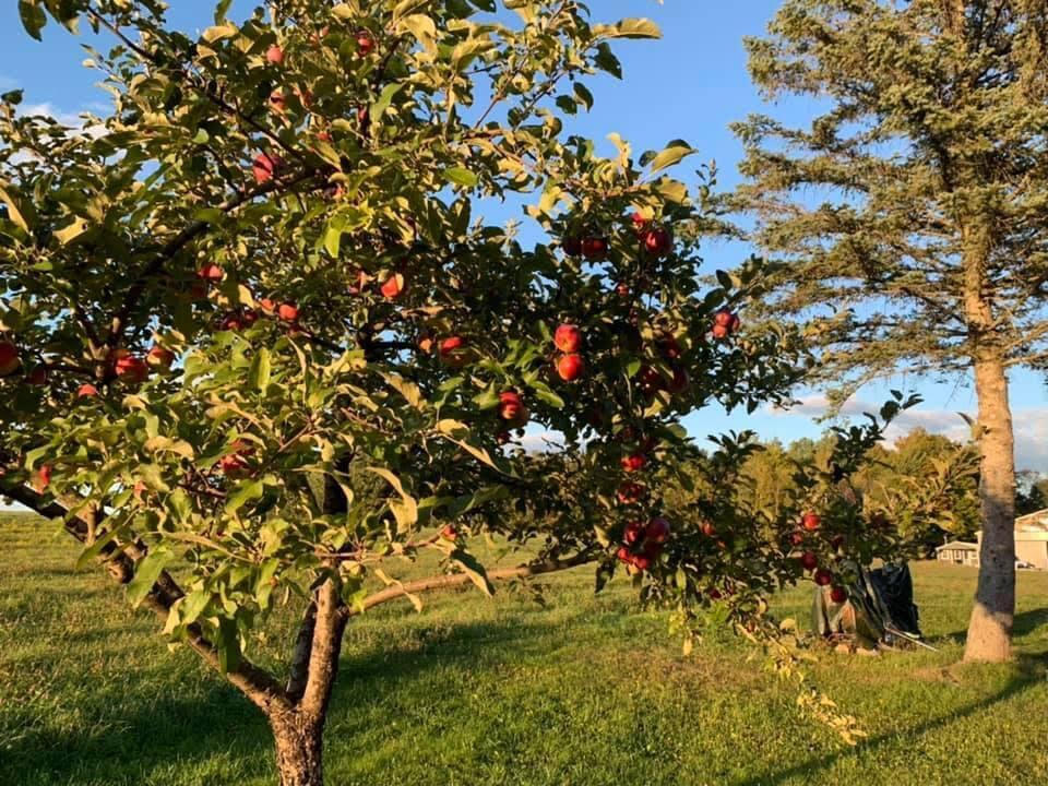 356 Range Road, Atkinson, ME, 04426