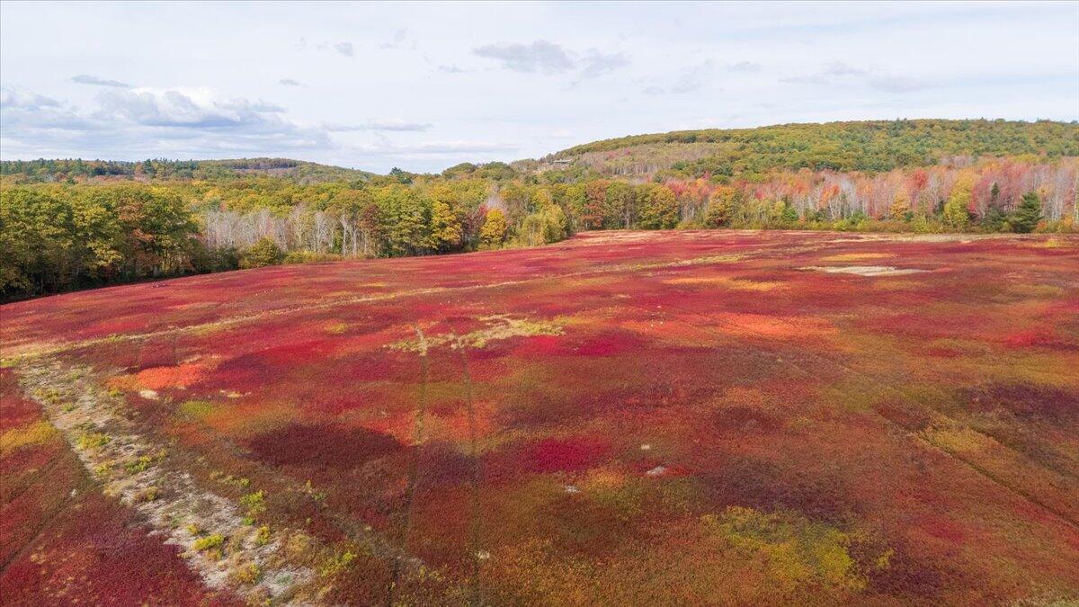 423 Beech Hill Road, Northport, ME, 04849