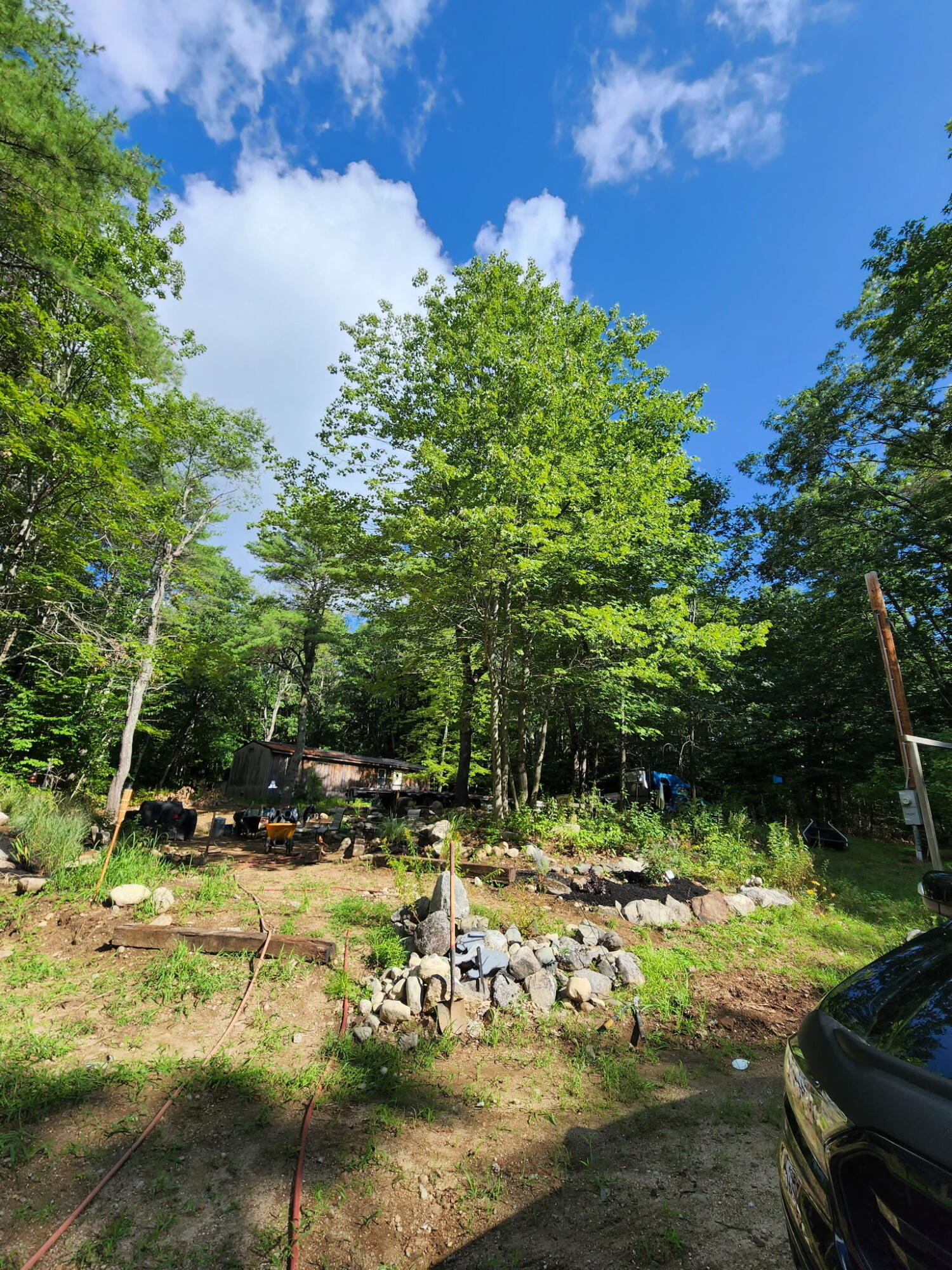 Search Homes for Sale