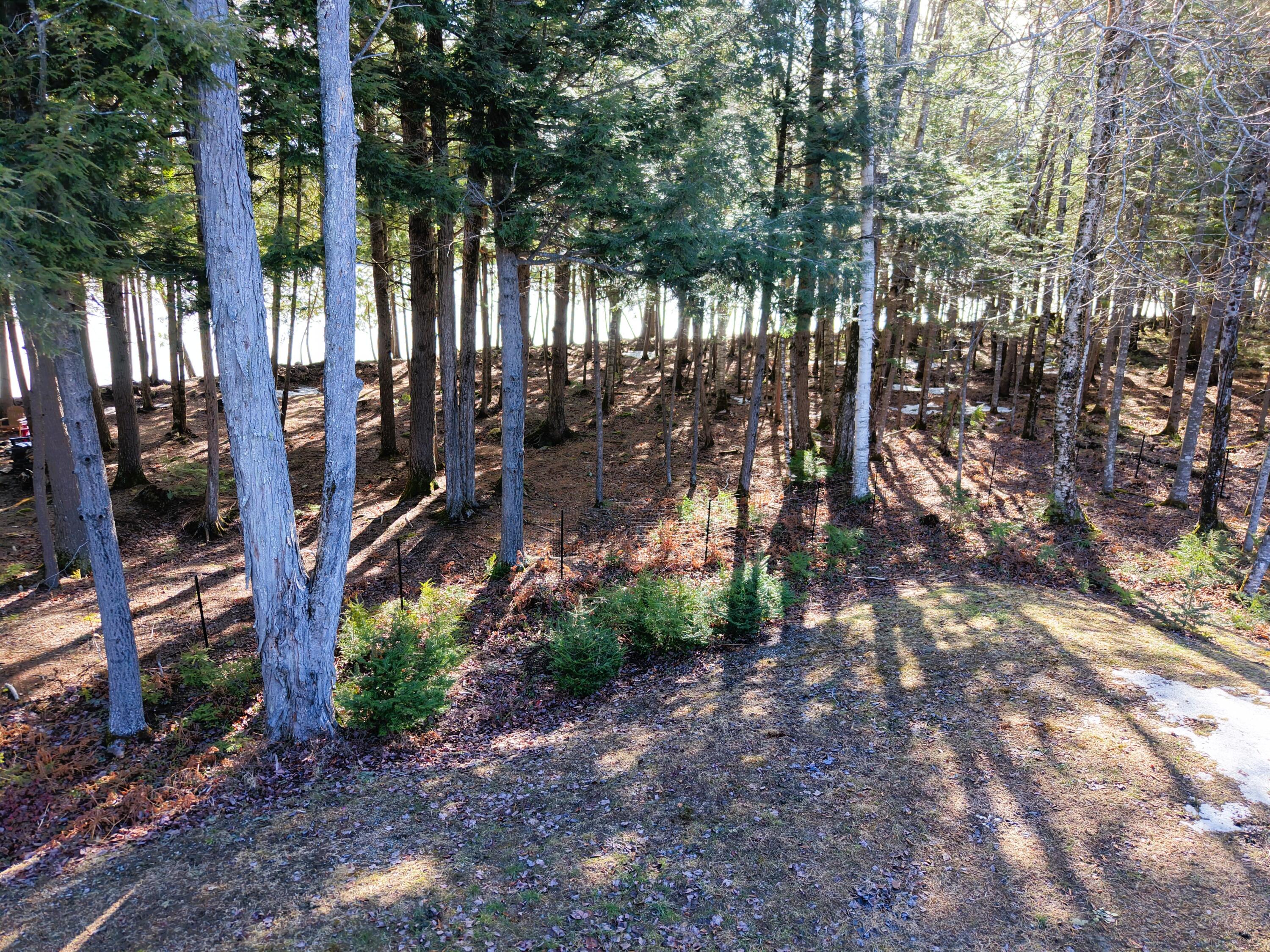 194 Loon Road, Embden, ME, 04958