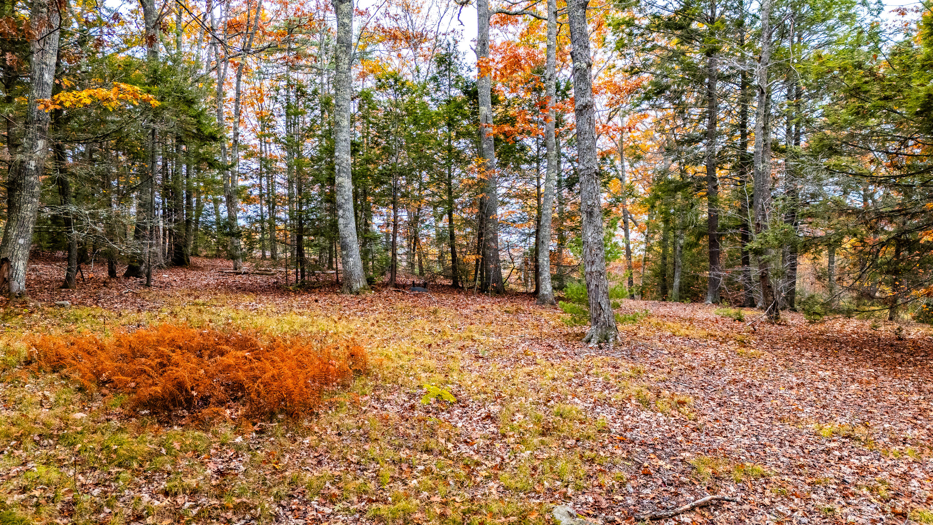 LotUNIT&nbsp;4 Bay View Trail, Edgecomb, ME, 04556