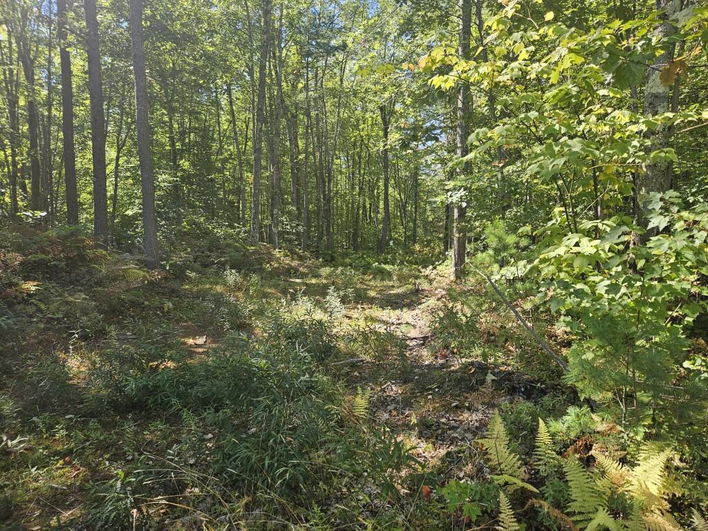Photo of Lot 9F Pequawket Trail Standish ME 04084