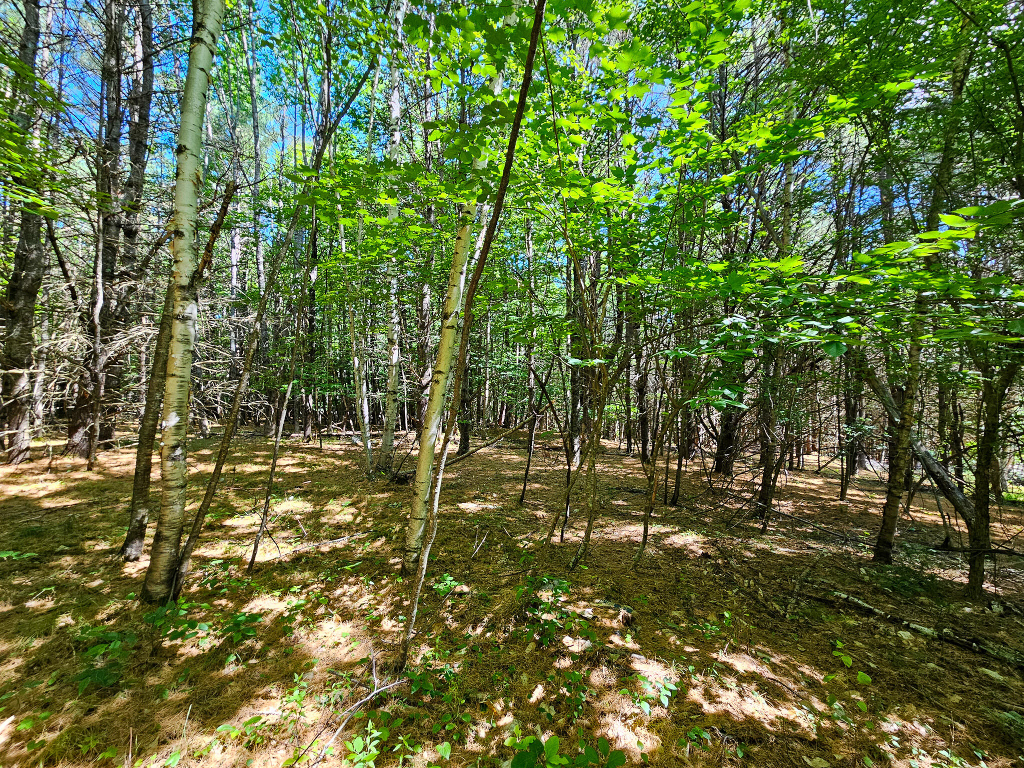 11-31-C Stone Hill Road, Farmington, ME, 04938