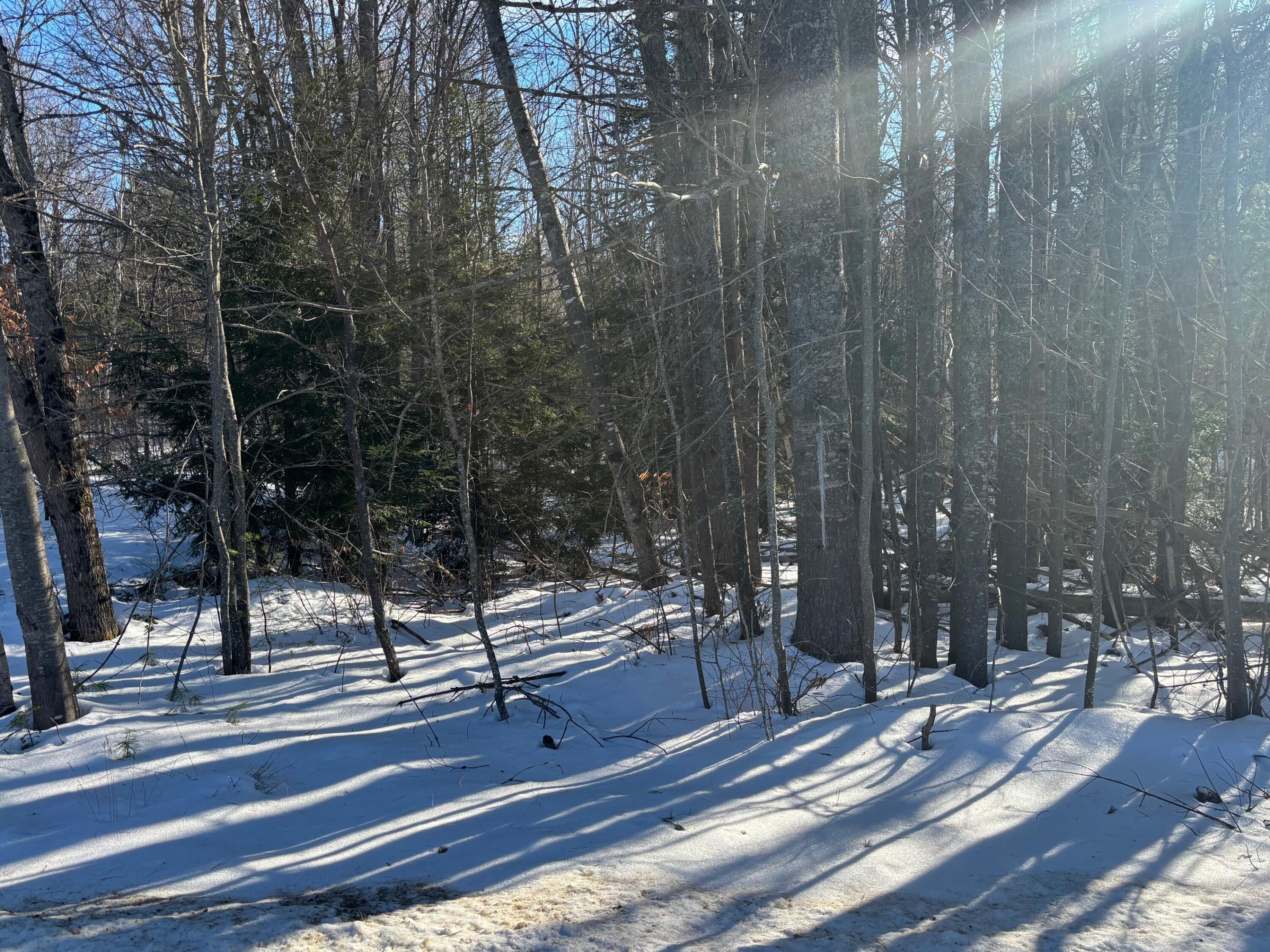 Lot 15-023 Intervale Road, Bethel, ME, 04217