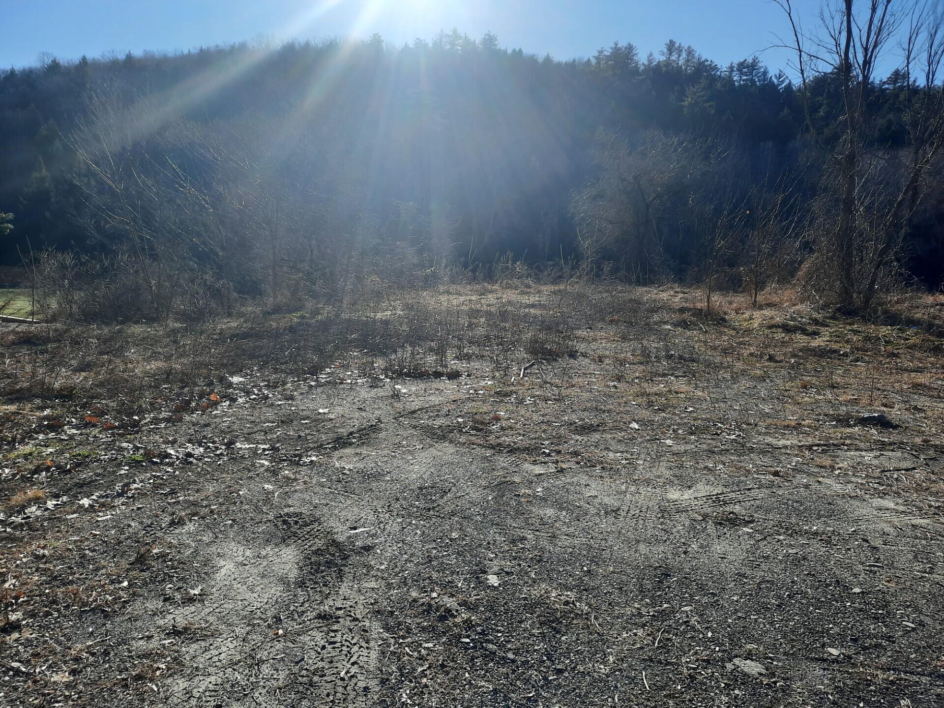 Search Homes for Sale