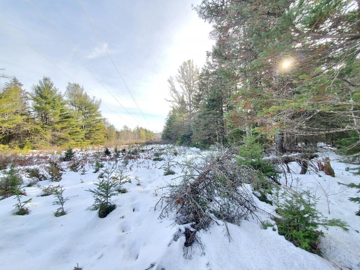 999 Main Road, Eddington, ME, 04428