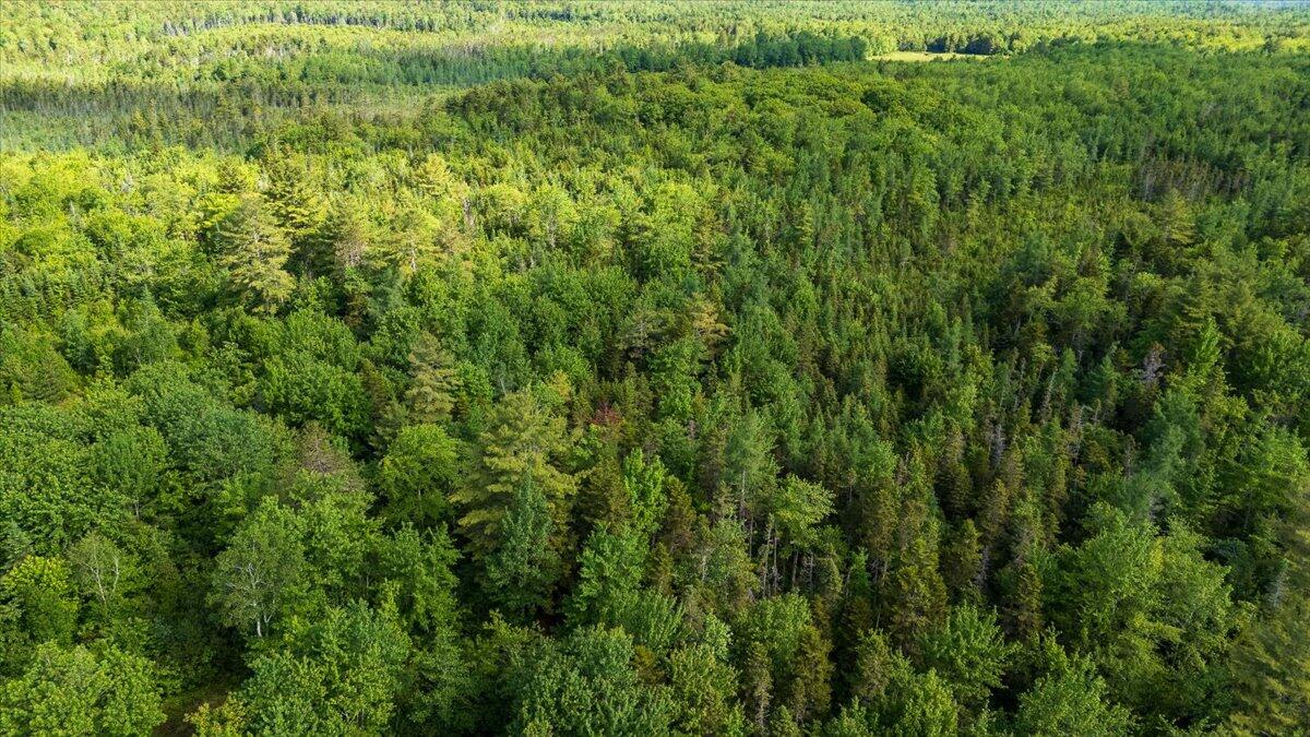 Map 7 Lot 8-1 Cushing Road, Westside, Cushing, ME, 04563