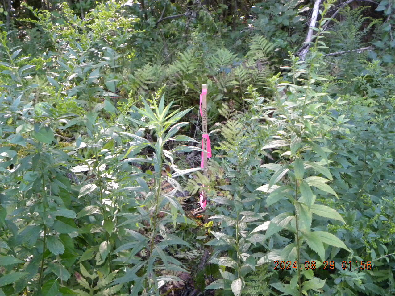 Lot A Bernier Road, Sanford, ME, 04073