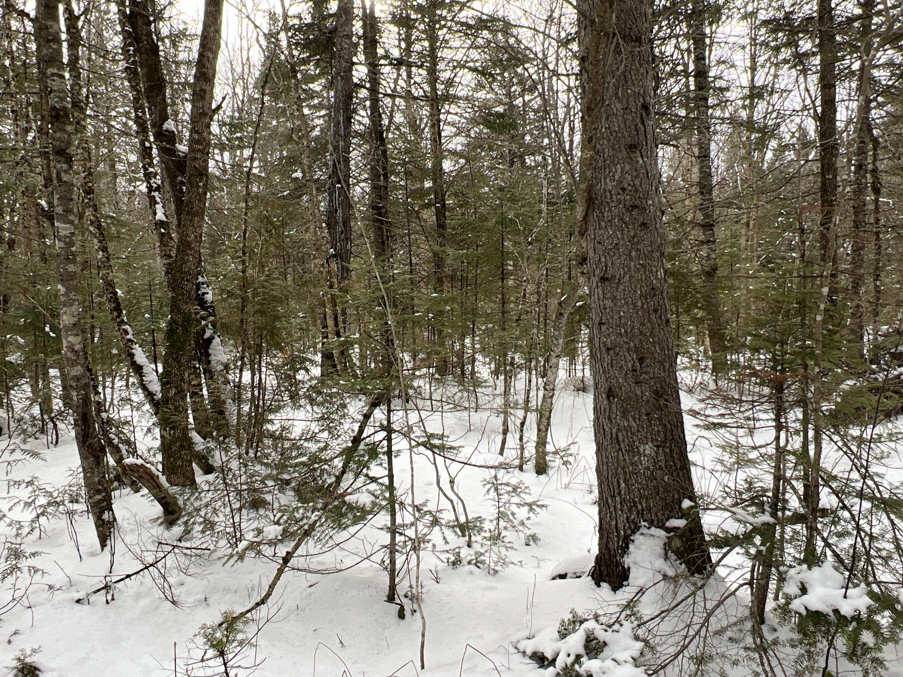 Lot 2-18 Shin Pond Road, Mount Chase, ME, 04765