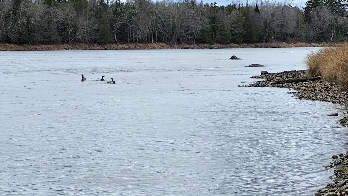 Lot 1C Medway Road Route 157 Road, Mattawamkeag, ME, 04459