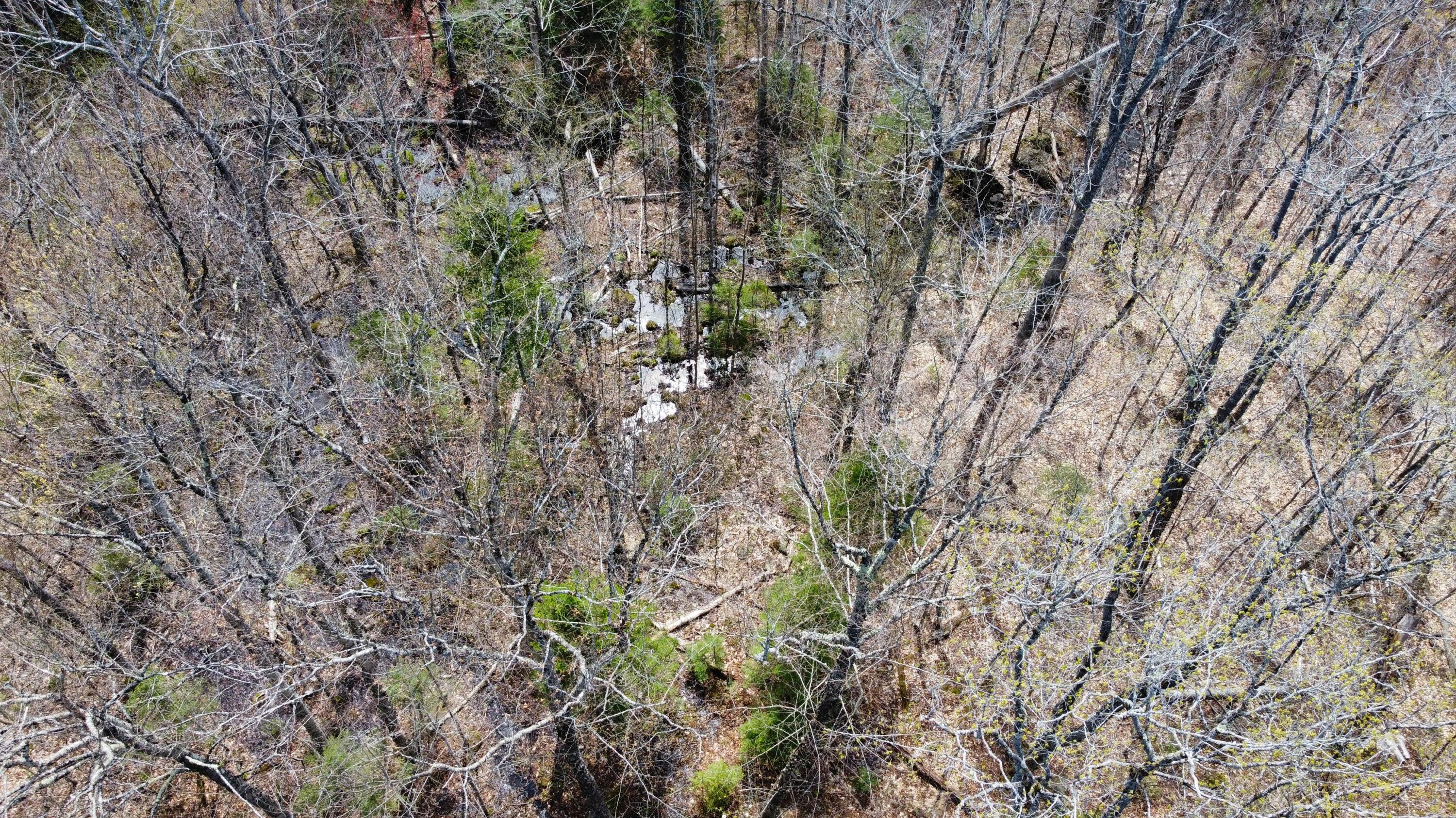 2029 Fox Hollow Road, Carrabassett Valley, ME, 04947