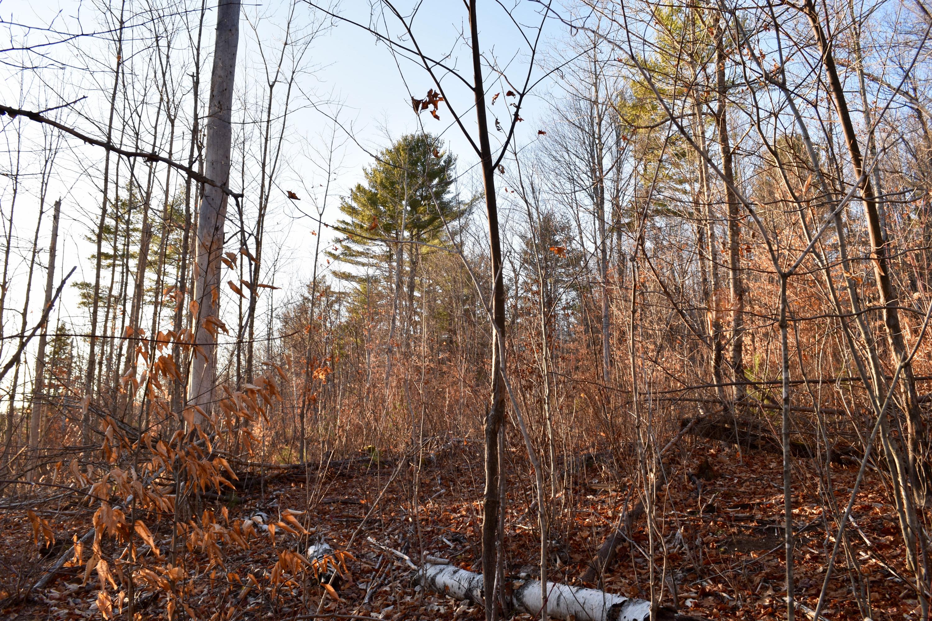00 Chapman Hill Rd., Bethel, ME, 04217