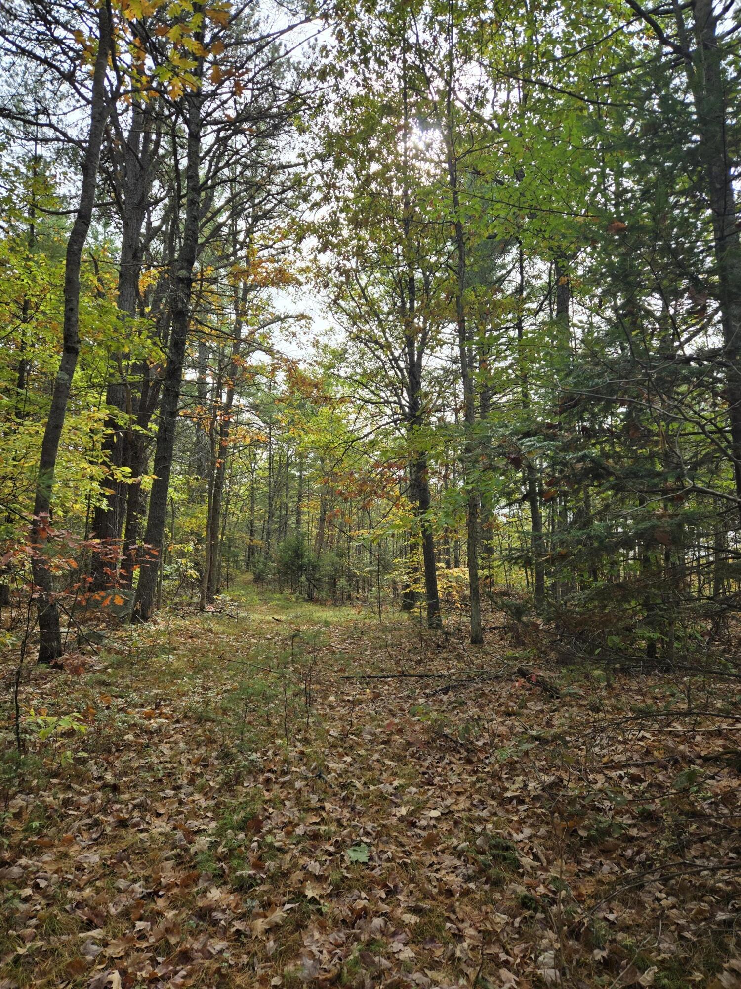 133 Plantation Lane, Brownfield, ME, 04010